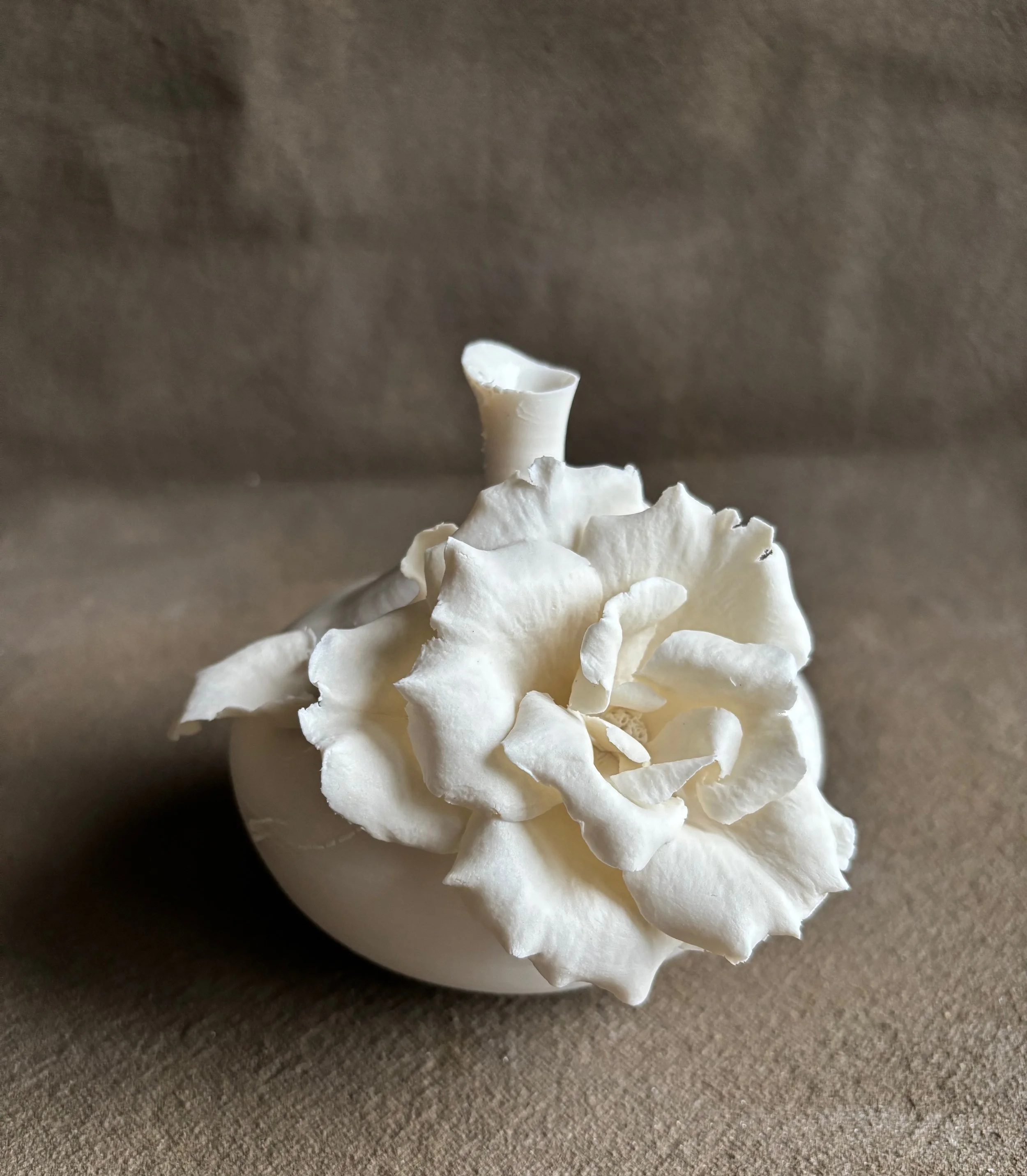 Yesterday - 1 of 1 (5).jpeg