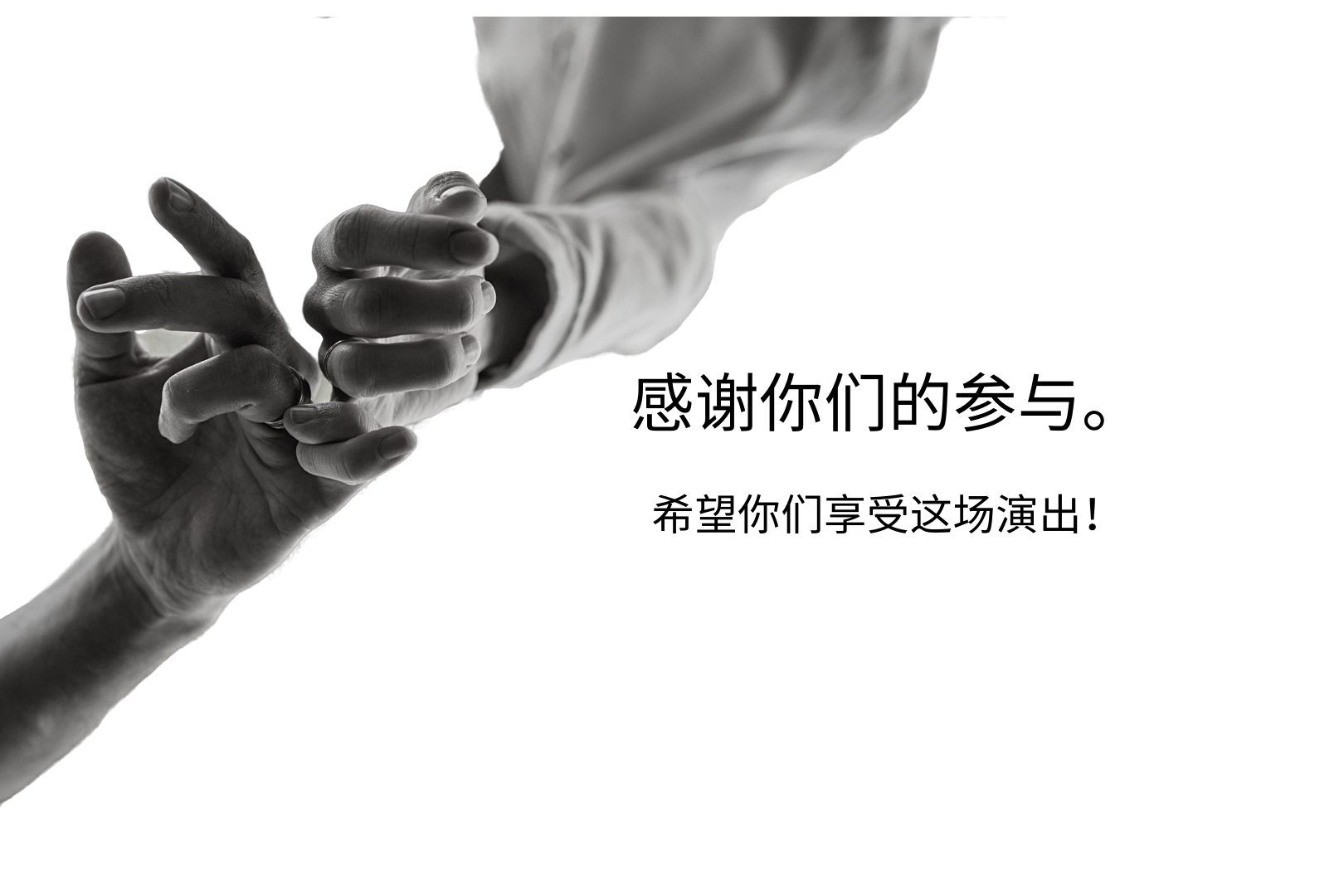 Thank you for joining, hope that you enjoyed this show!感谢你们的参与。希望你们享受这场演出!