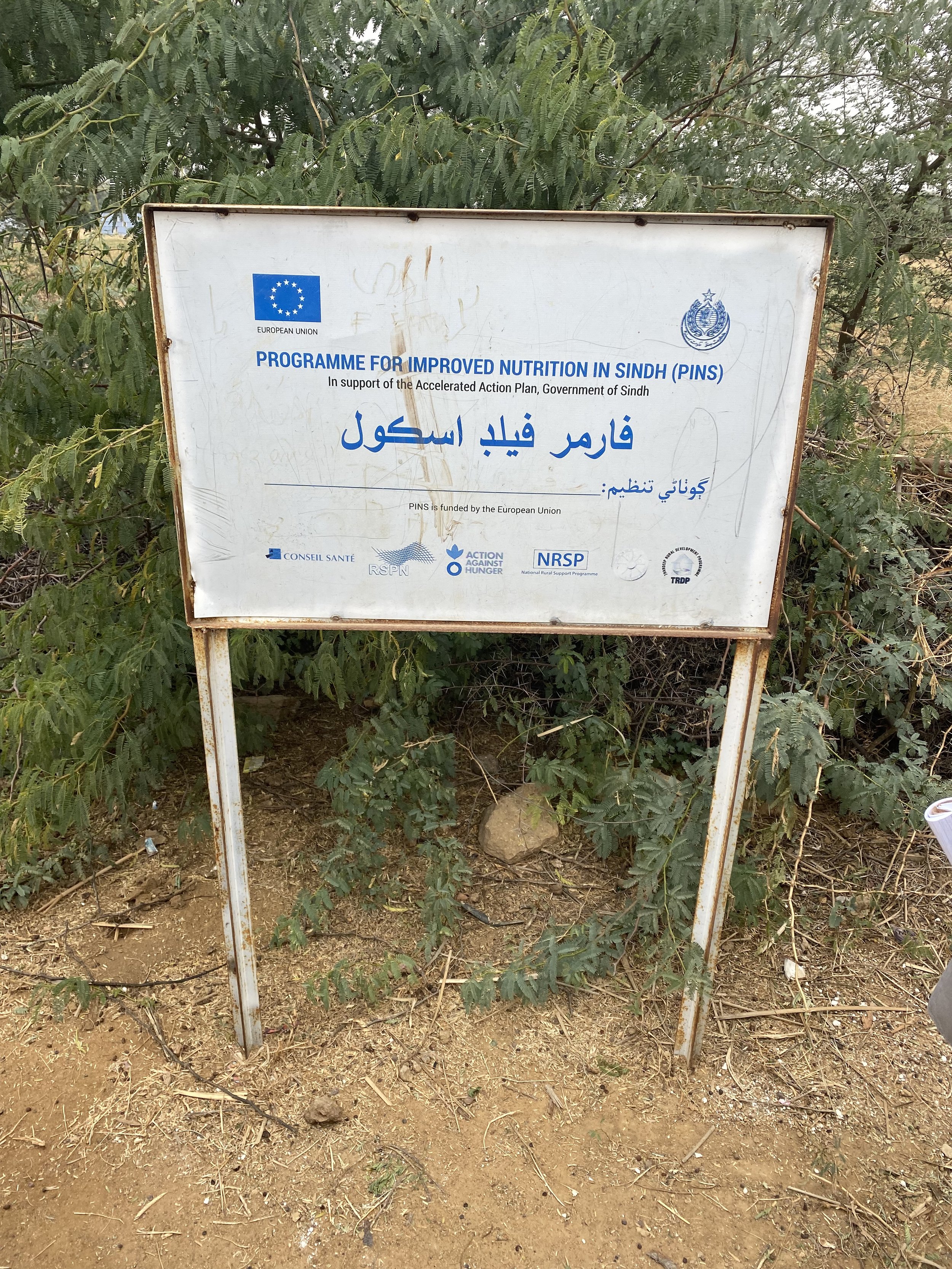 Collaborative effort to improve nutrition in rural Sindh