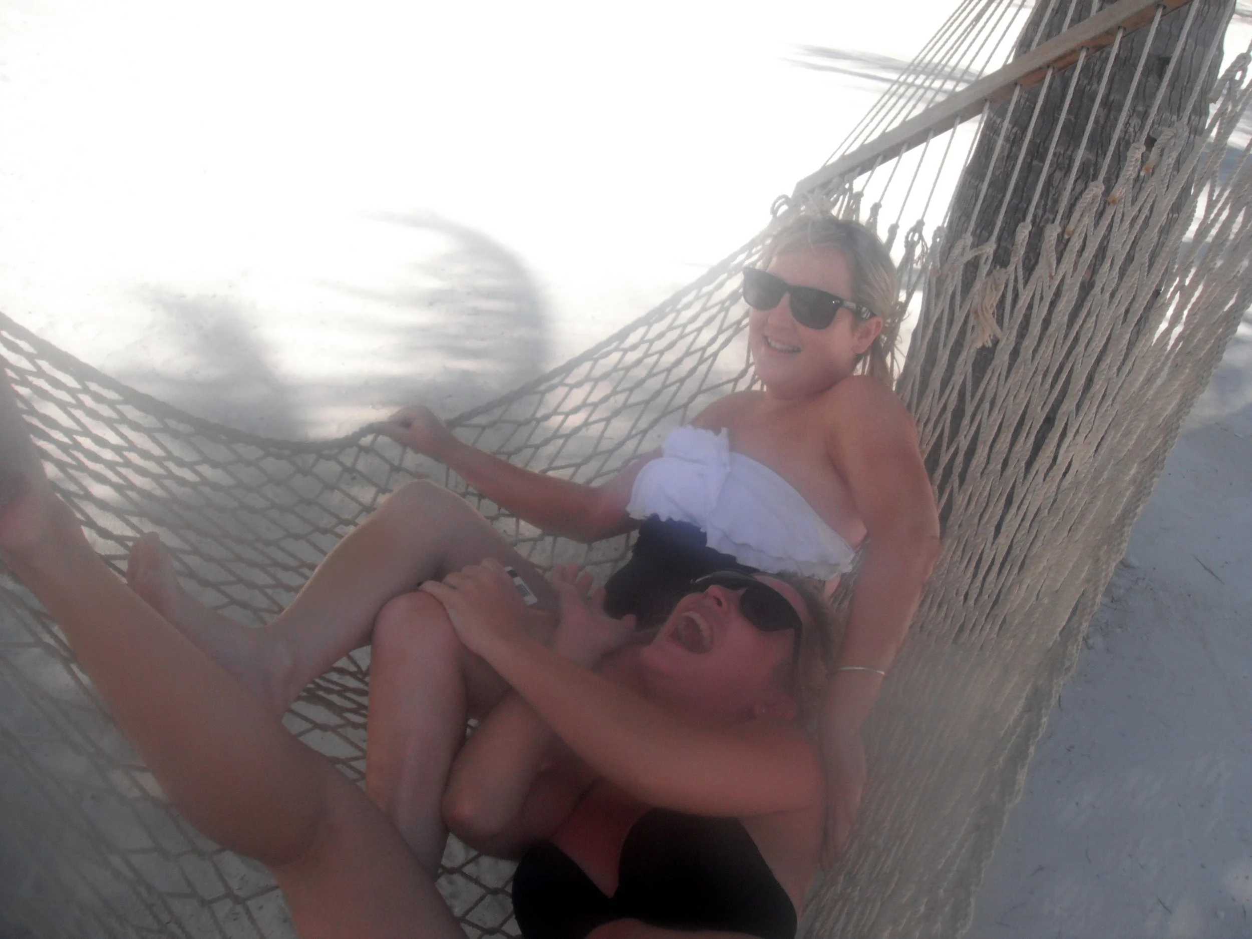 42008190344_1.jpg