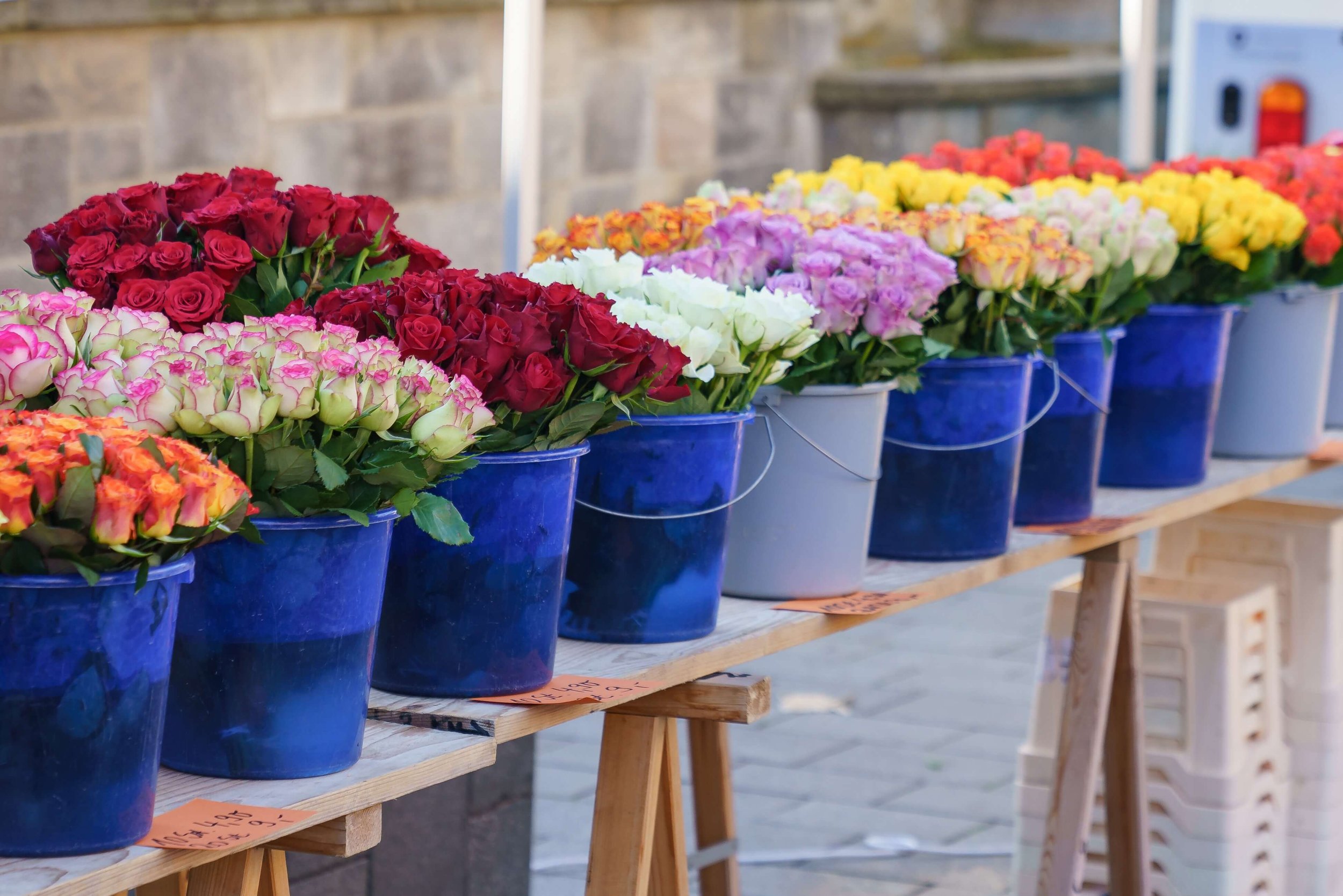 Cash and Carry — Octoflor