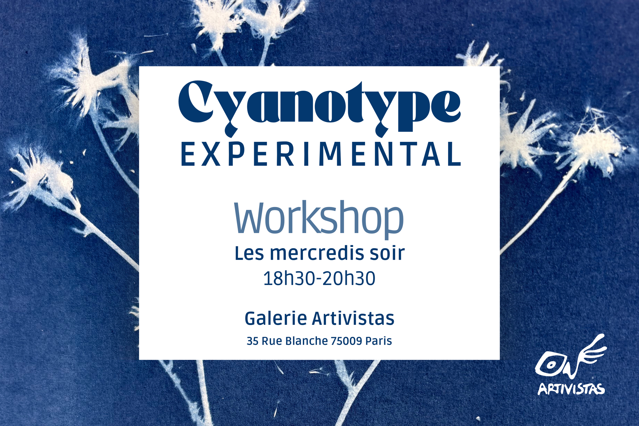 Cyanotype Expérimental
