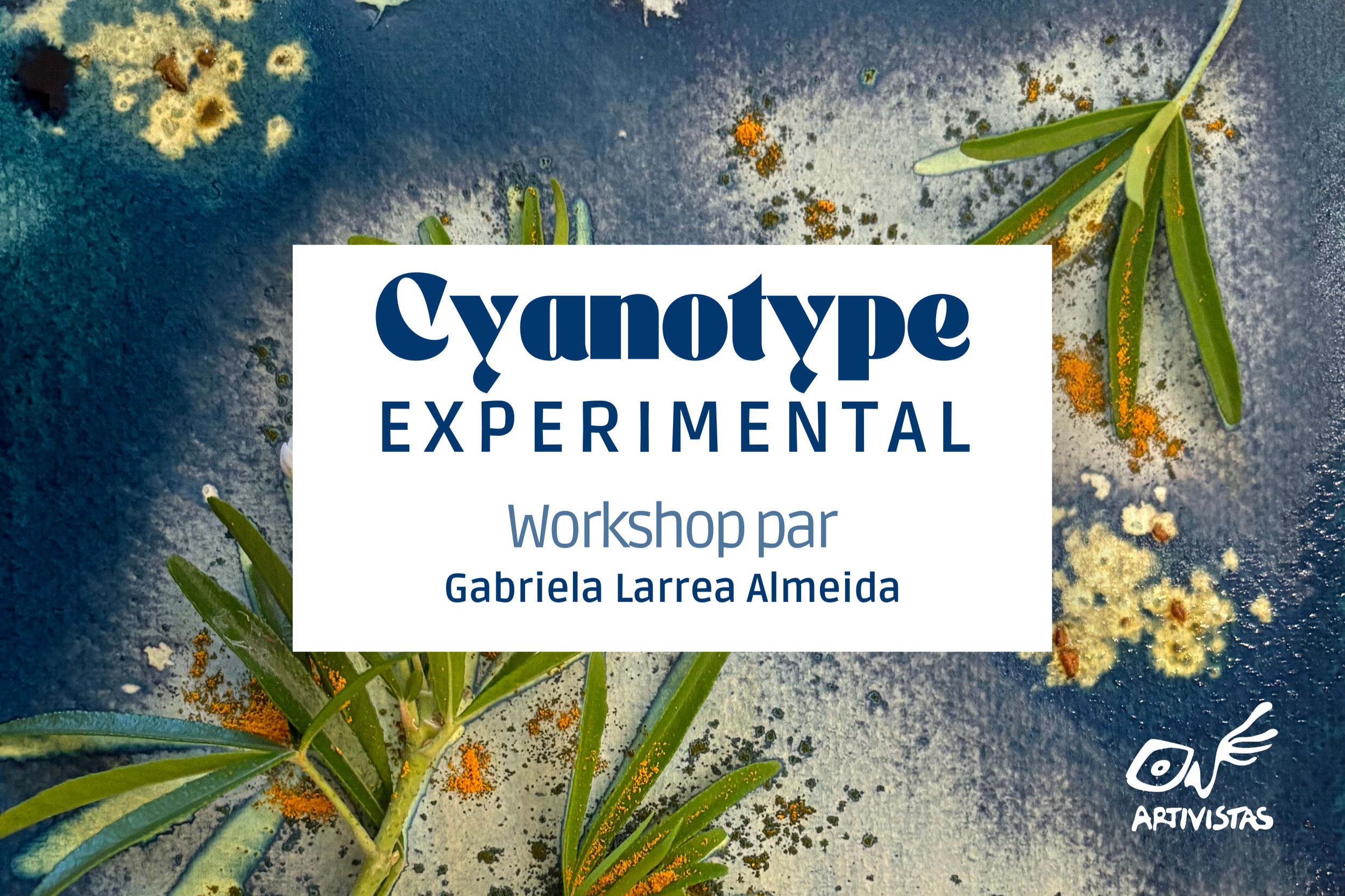 Cyanotype Expérimental 