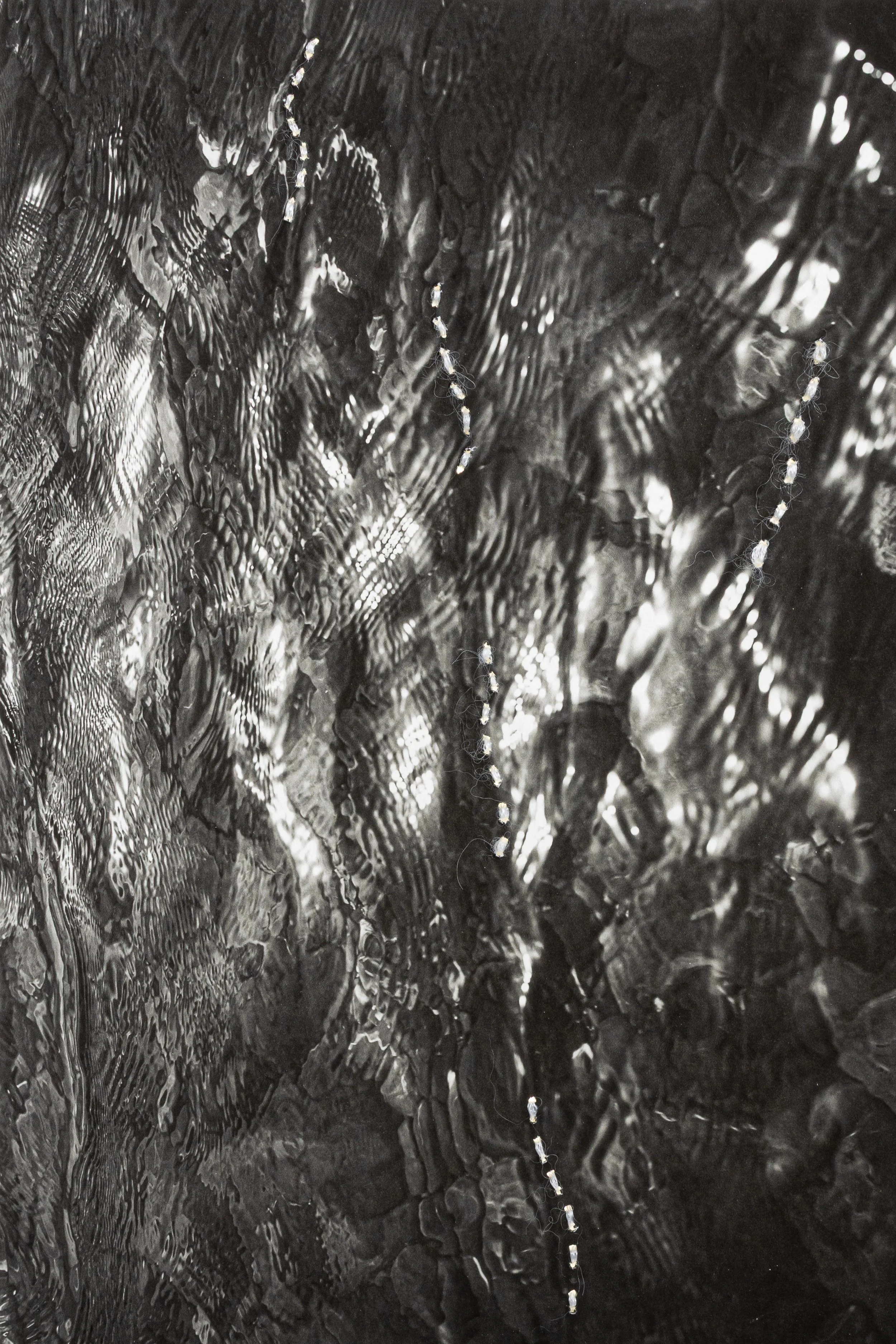 AGUA VIVA. Reposée, 2025