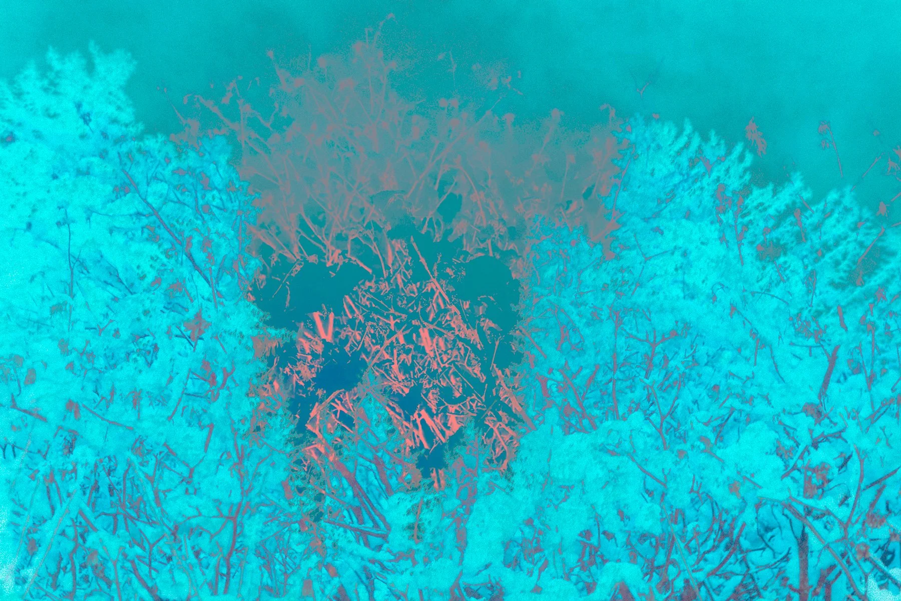 SOLASTALGIA, 2024,#1