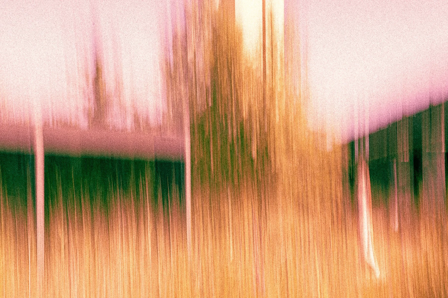 023_PINKDELIRIUM©GabrielaLarreaAlmeida2024.jpg