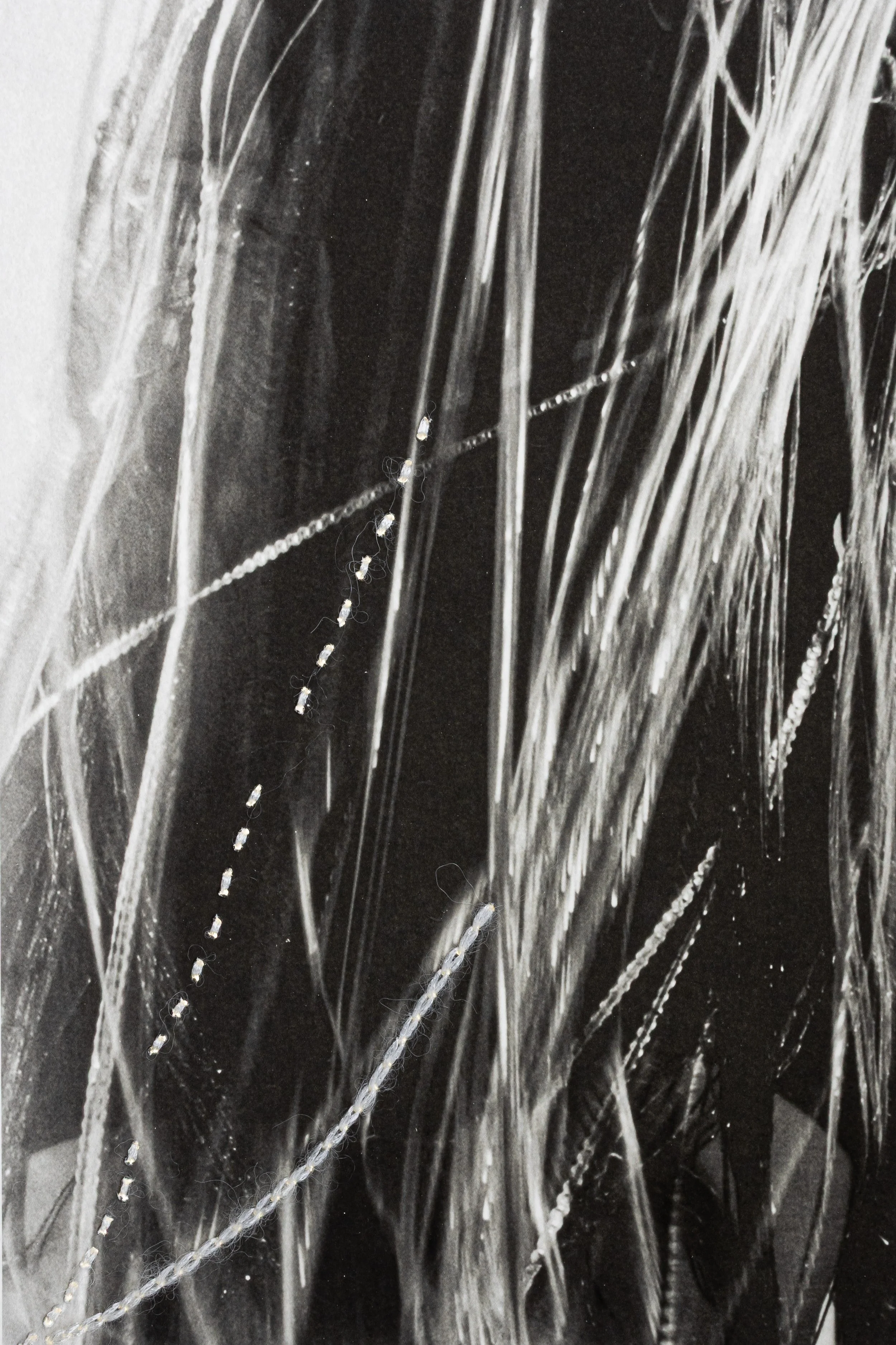 AGUA VIVA. Rythmée, 2025