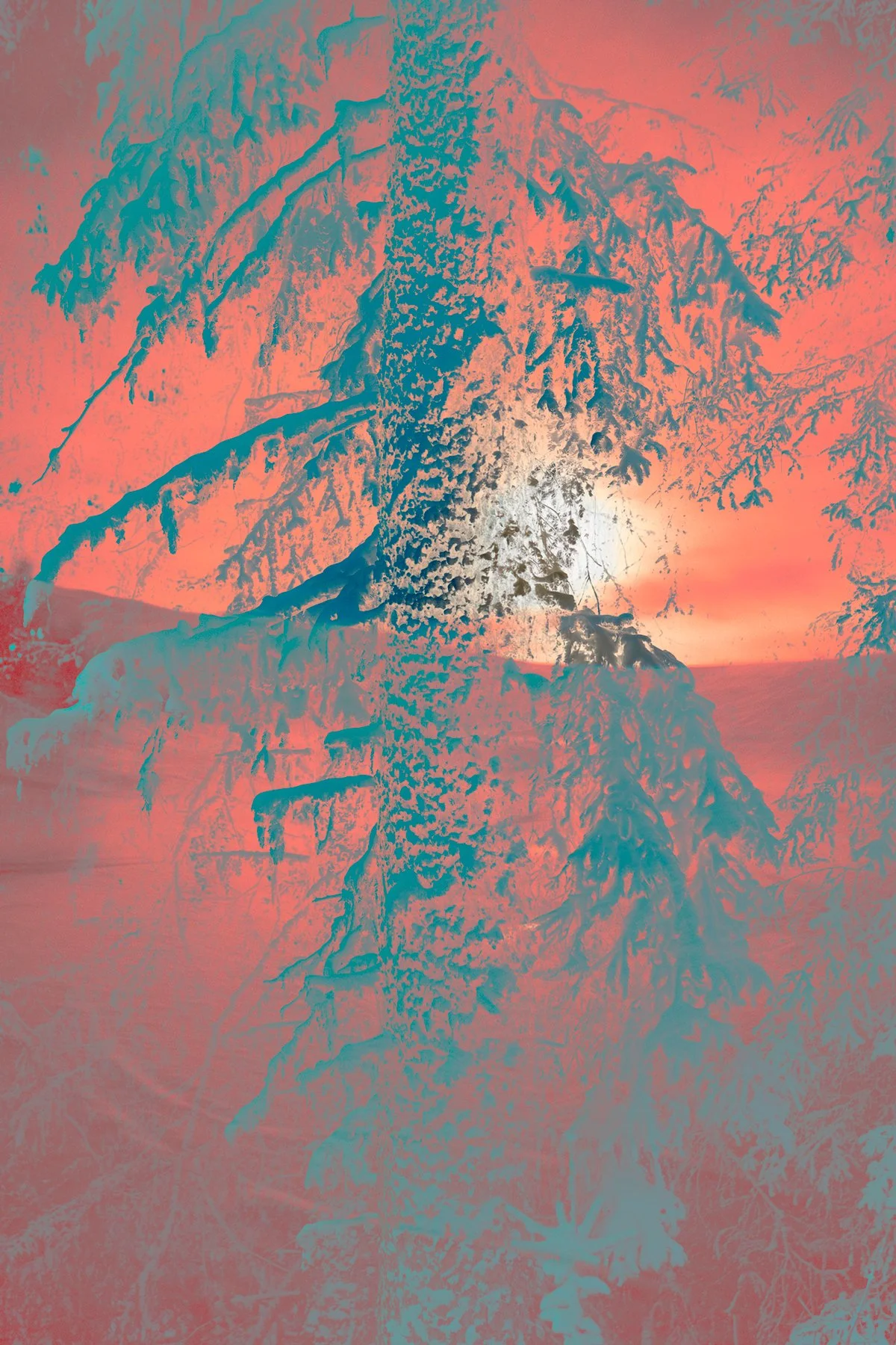 SOLASTALGIA, 2024,#5