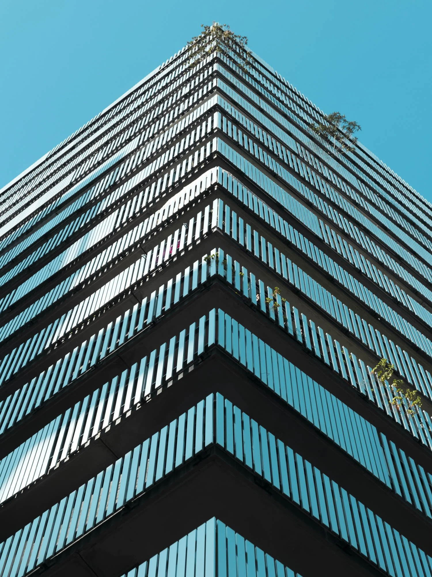 LOOK UP / PERSPECTIVES #1