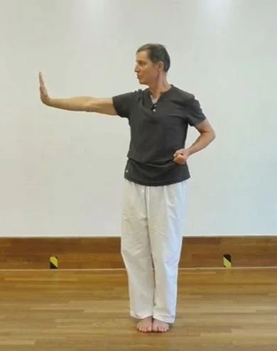 Neue Qi Gong Übungsreihe ab 30. September 2026