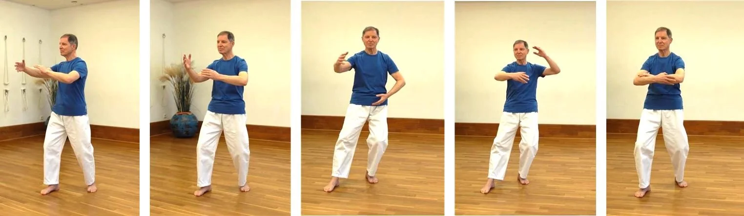 Tai Chi&nbsp; Samstag im Oktober                „Der Sperling-Zyklus oder Packe den Vogel beim Schwanz“