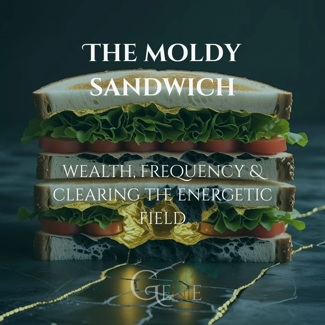 What if the reason your money isn’t landing, is Mould?