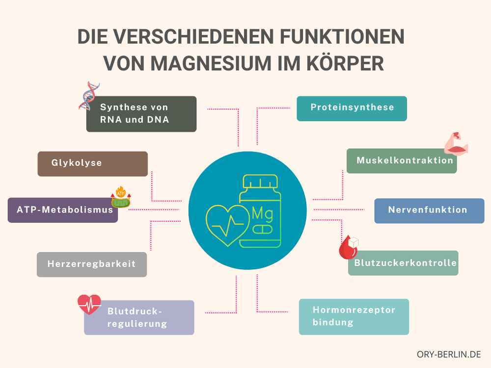 Magnesium ud seine essentielle Rolle für unsere Gesundheit