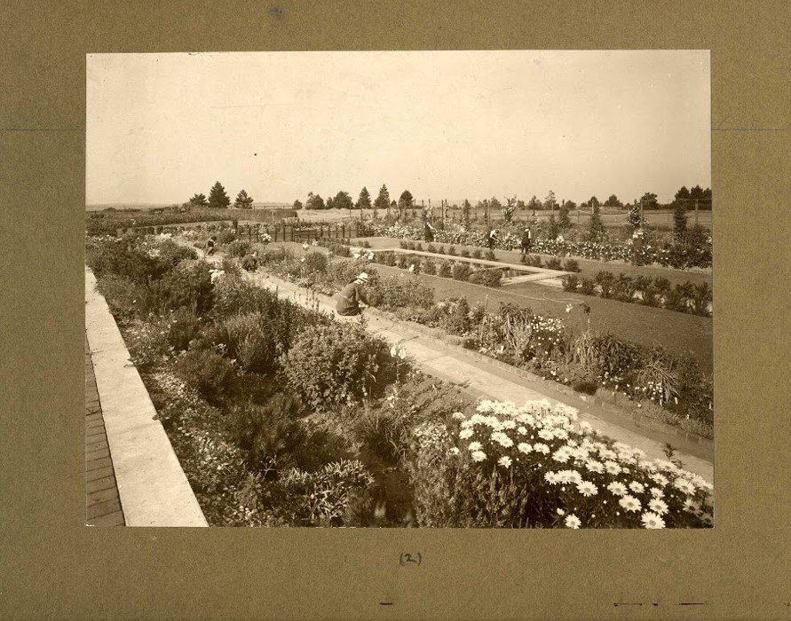 Sunk Garden 1920s.jpg