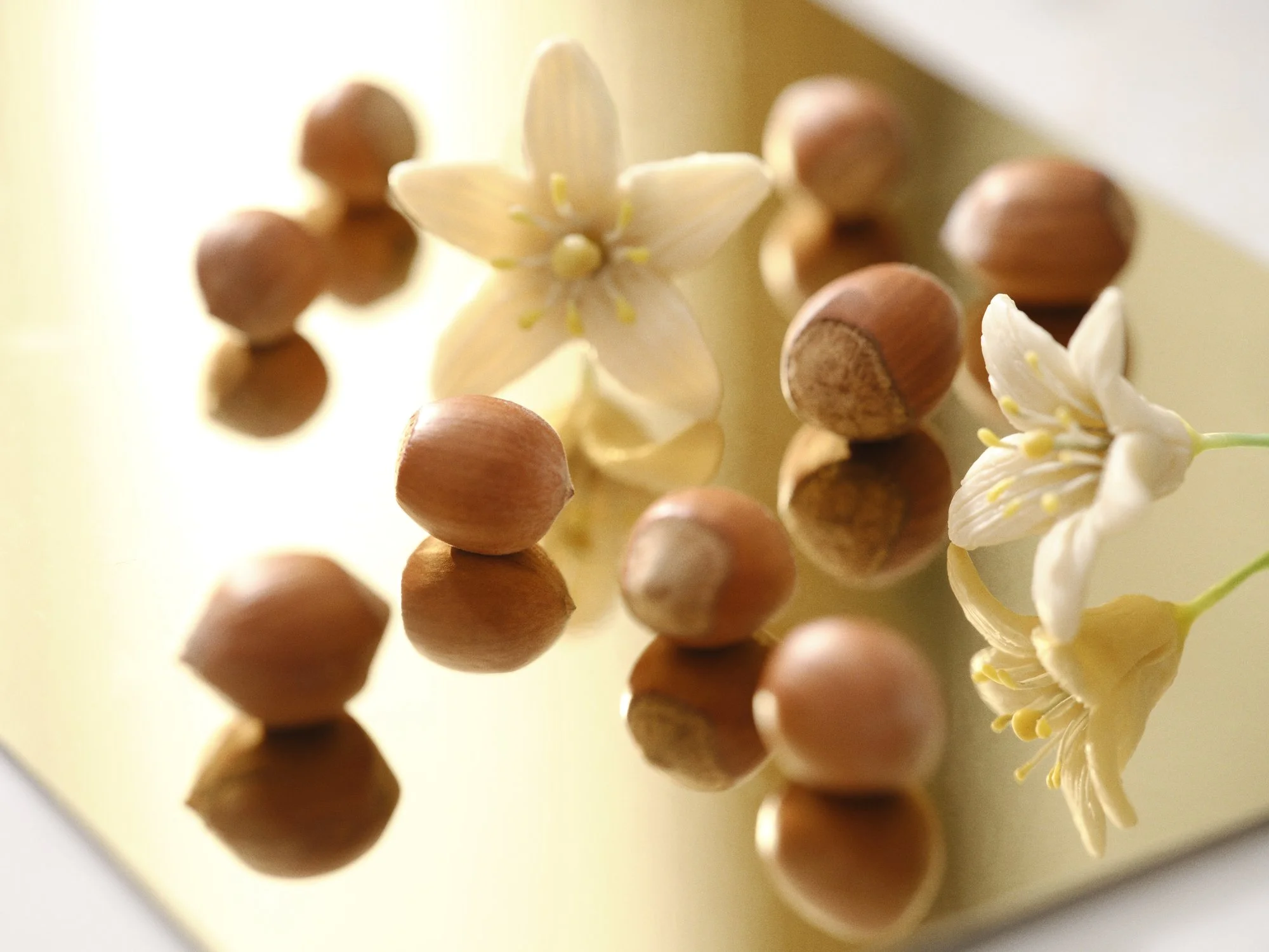 Photography Raw Material Flowers Fragrance Communication Mezel