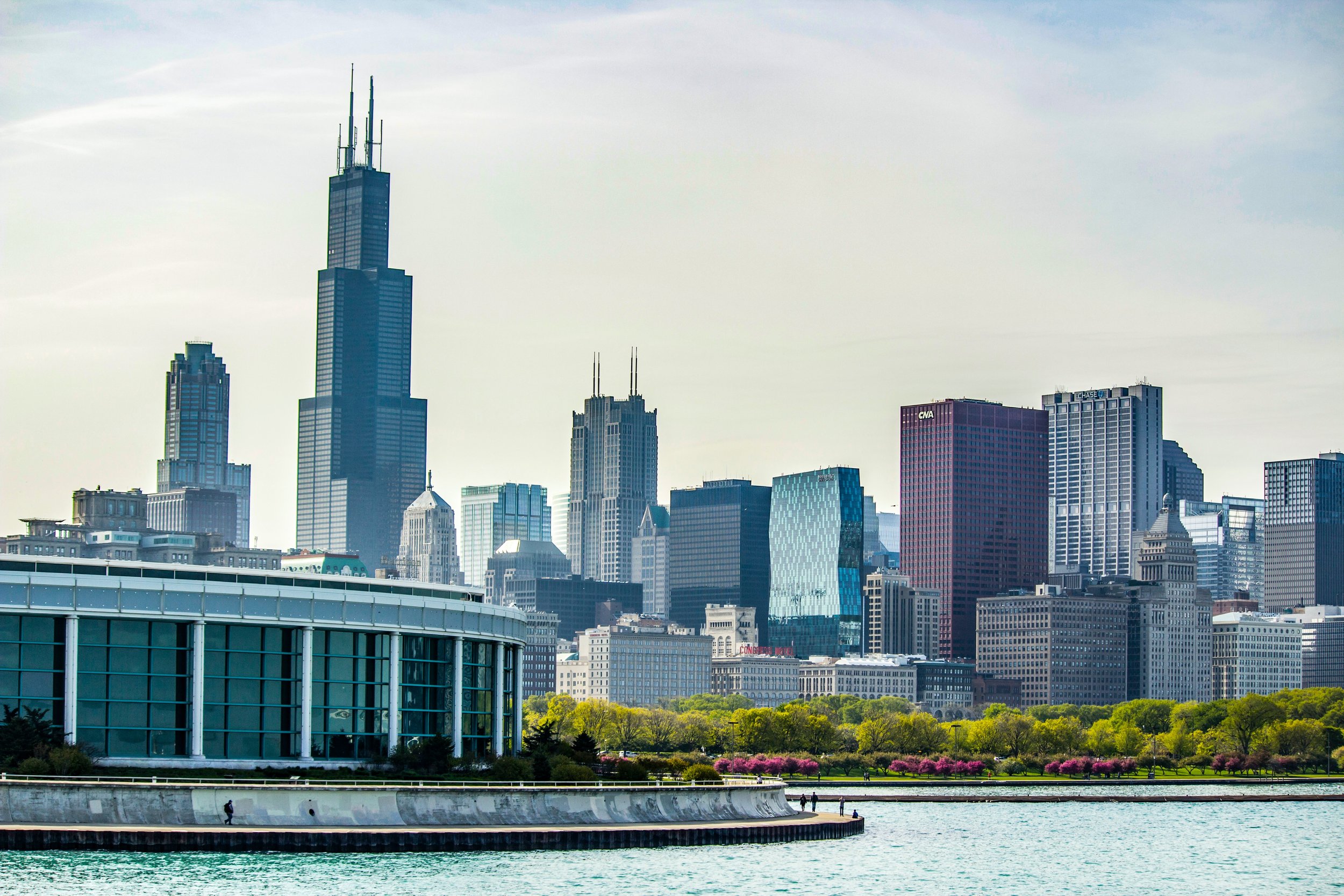 Chicago skyline representing business opportunities for local entrepreneurs