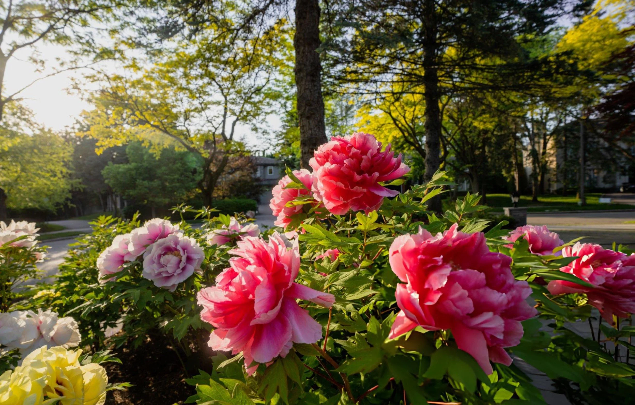 Should You Buy or Sell First in Blaine’s Spring Market?