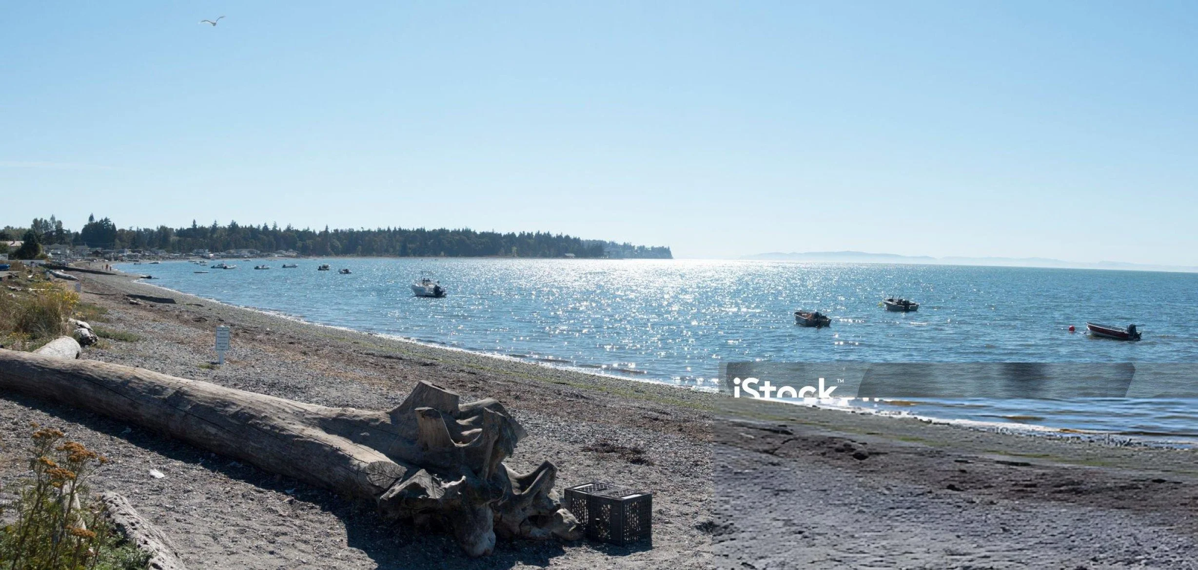 A Local’s Guide to Spring in Blaine: Parks, Views, and Weekend Favorites