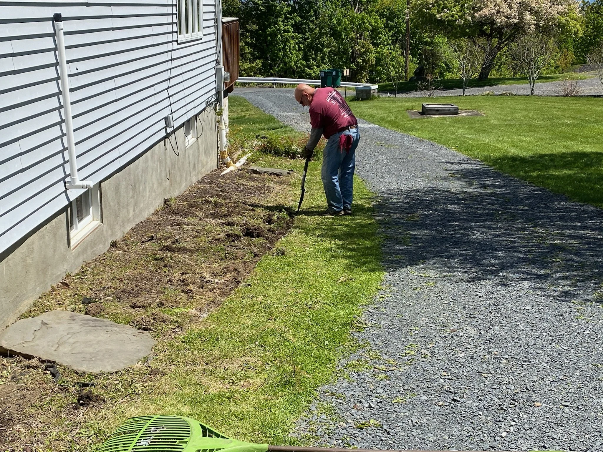 The difference a little mulch can make...
