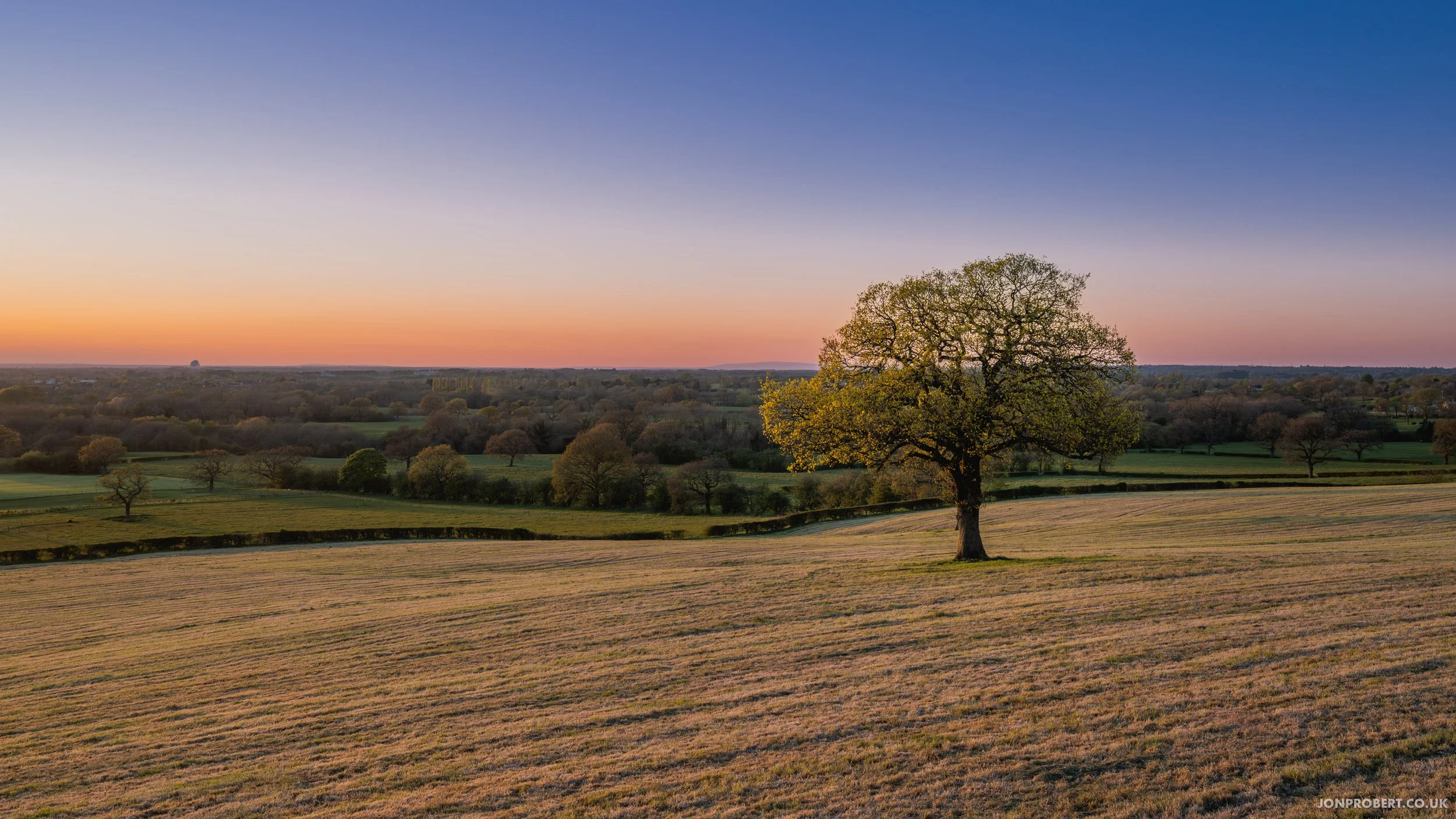 Spring Sunset, Cheshire