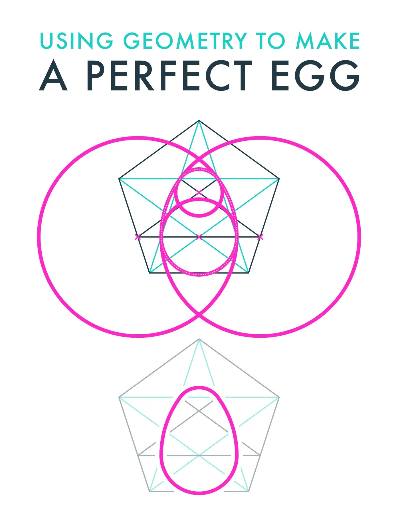Egg.jpg