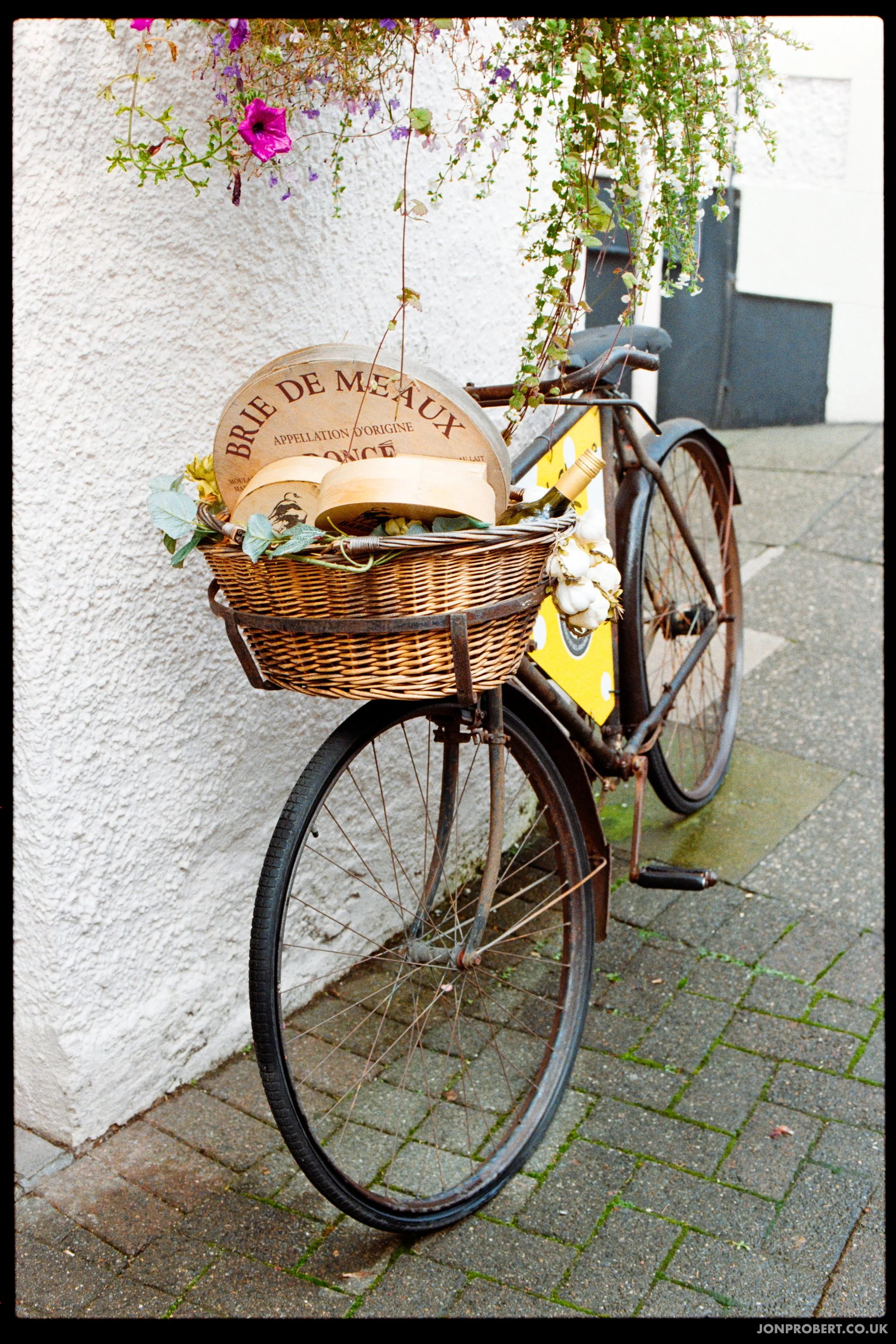 Brie Bike (Kodak Gold on Nikon FE2)