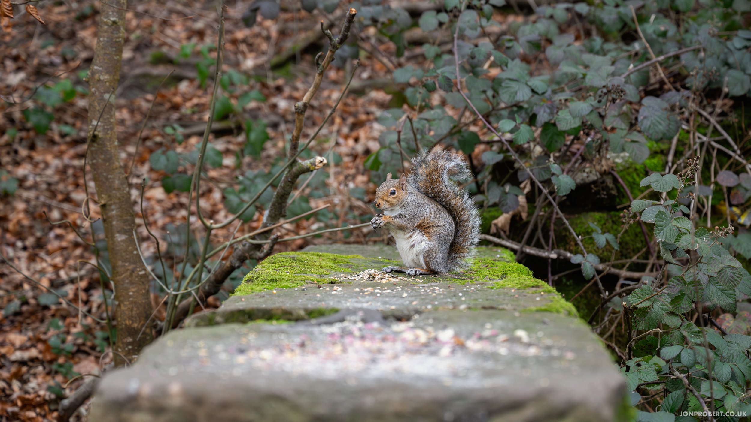 Greenway Bank Country Park