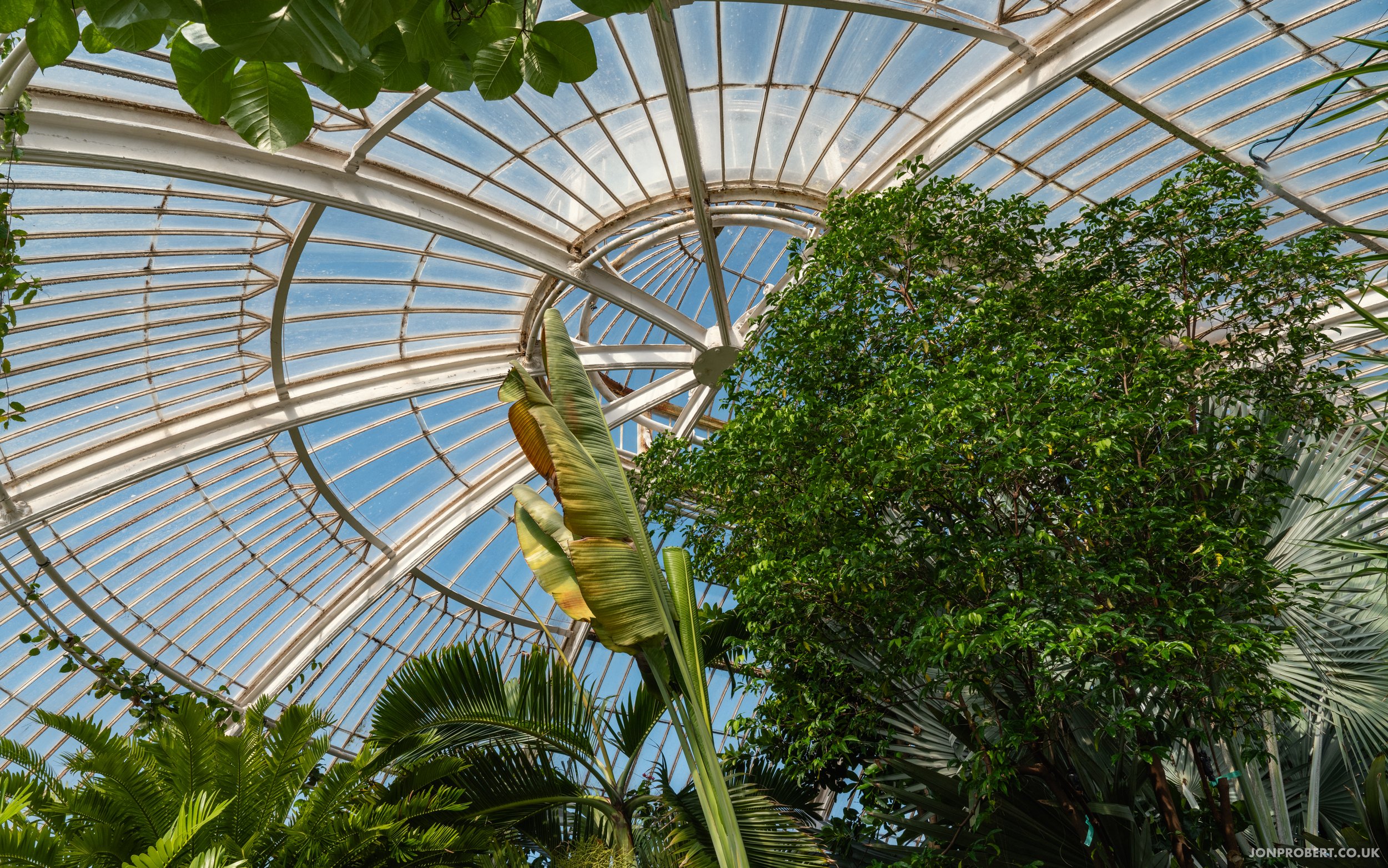 Kew Gardens, Richmond, Surrey
