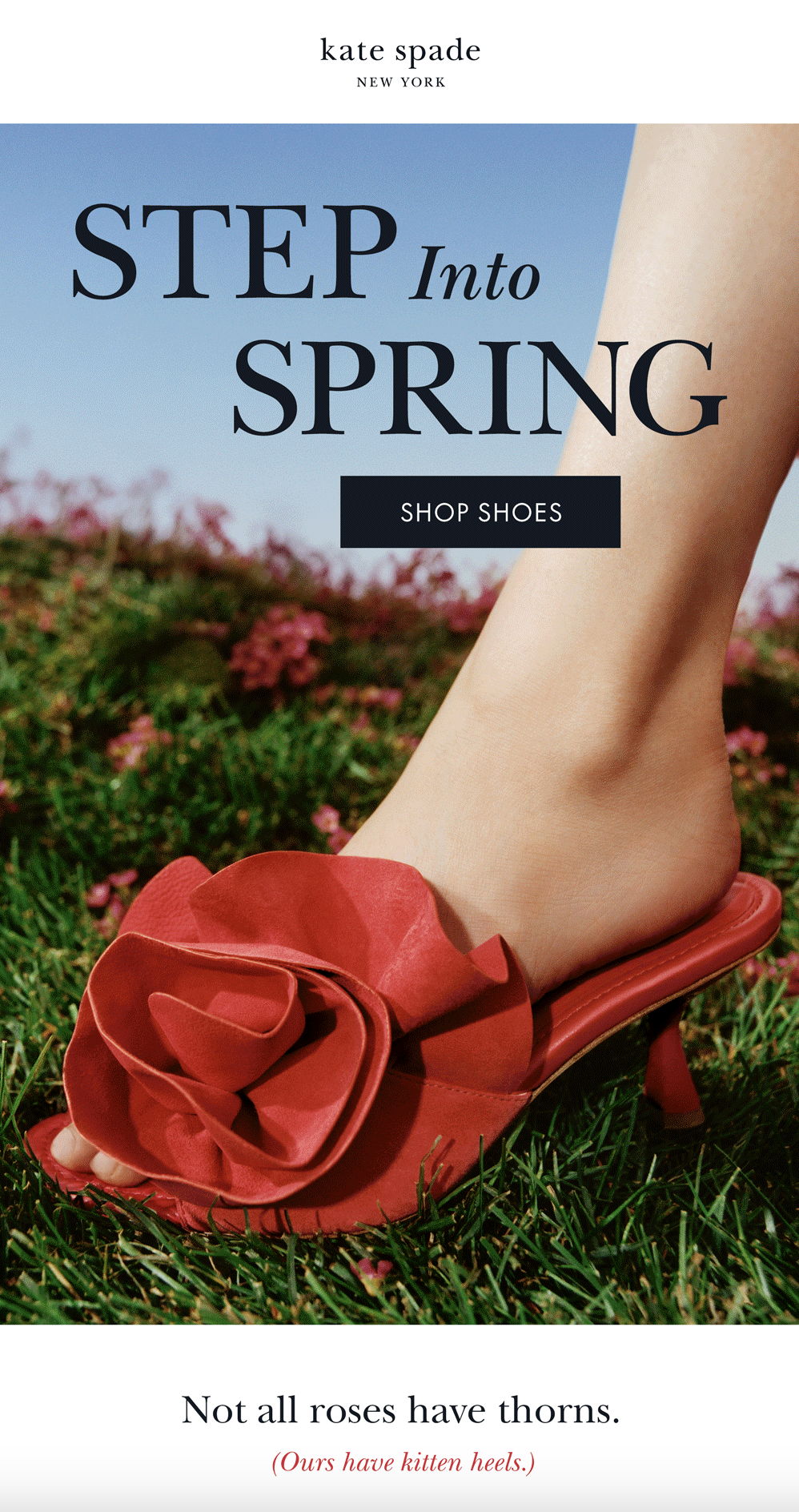 rose shoes.png