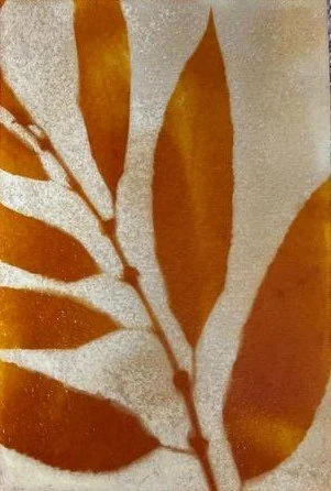 Botanical Ink Making and Eco Sun Printing Workshop
