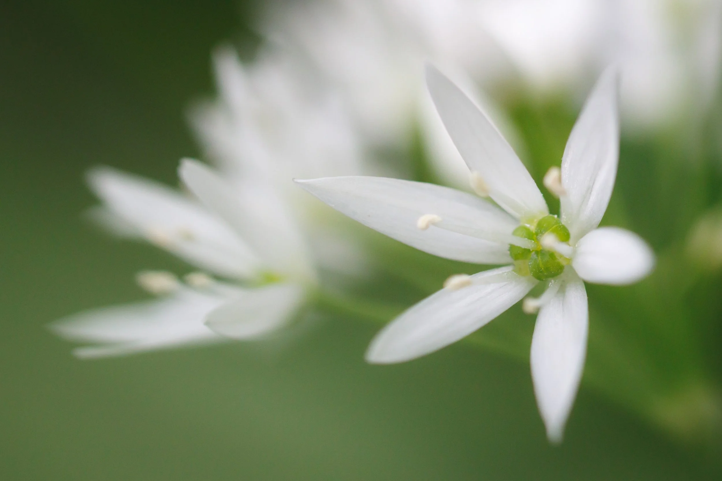 IMG_8792 (3)-2ppppp.jpg