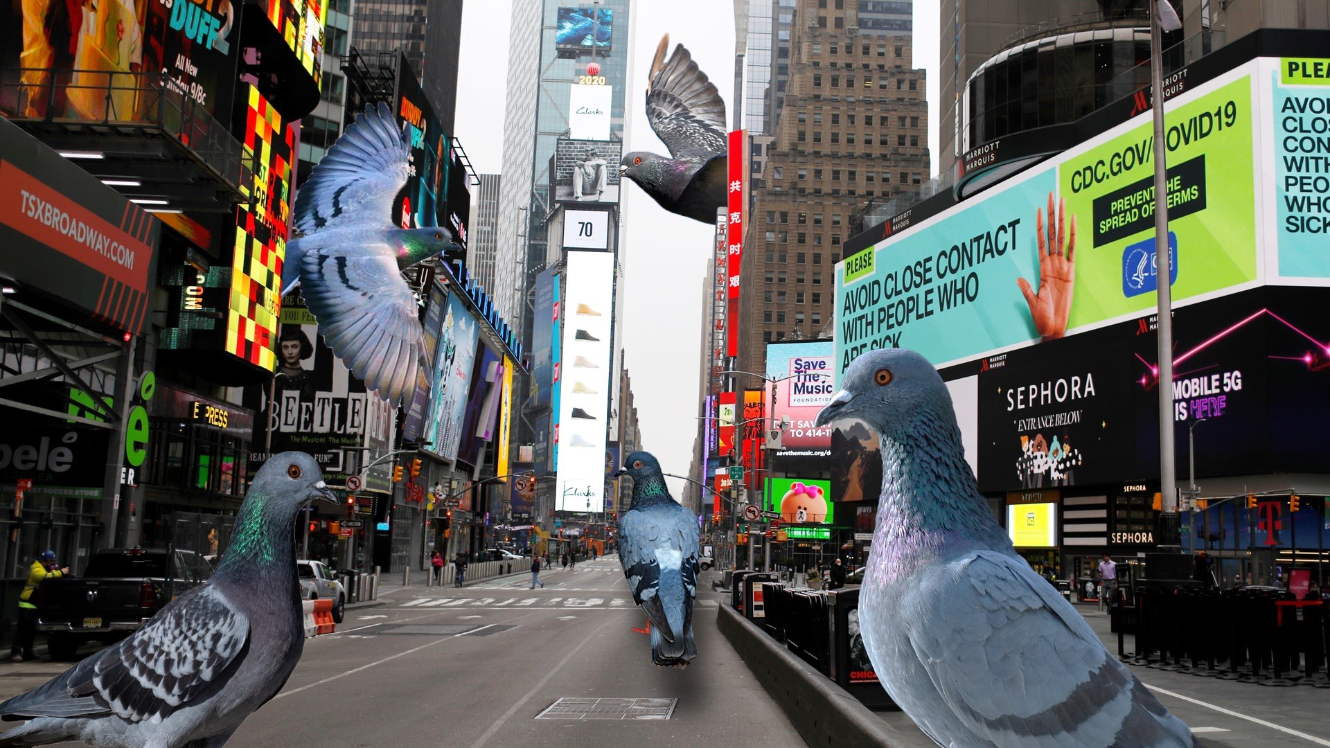 Emma_6 Pigeons In The City.jpeg