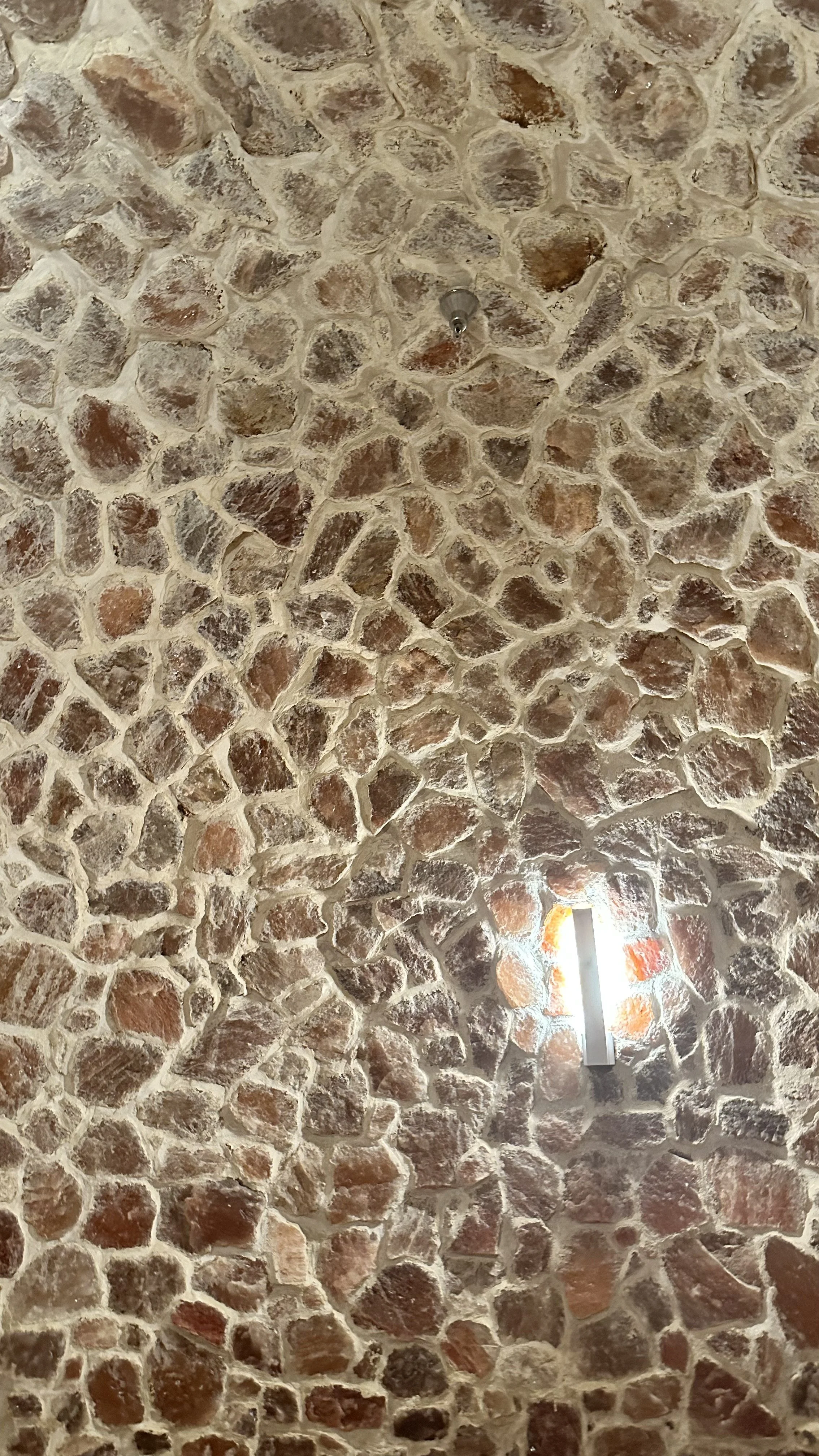 IMG_6321.jpeg