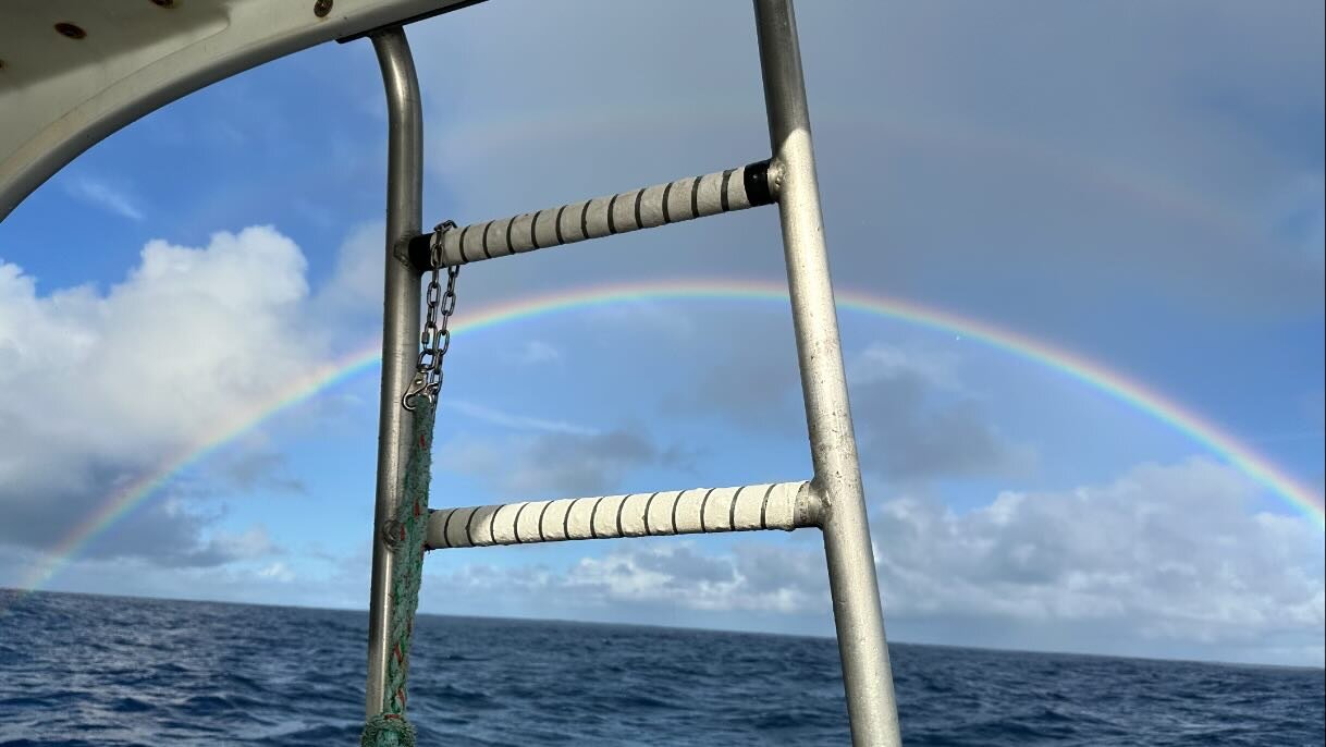 That one time I snorkeled with sharks we had a double rainbow before going into the open water!

Missing Hawaii! 

#snorkeling #sharks #hawaii #rainbow #doublerainbow #northshore #northshoreoahu #oahu #oahuhawaii #openwater #ocean #shark #snorkelingt