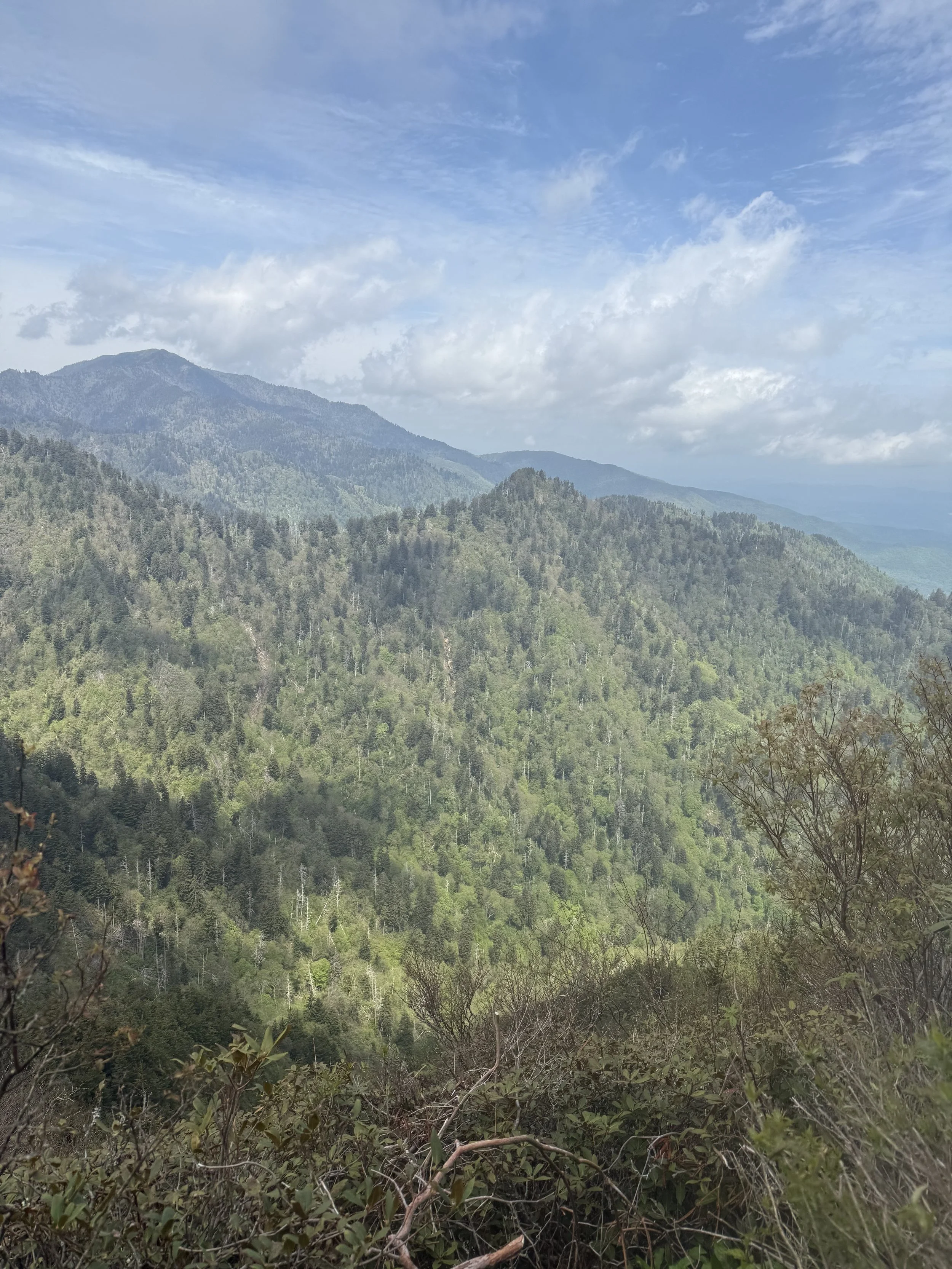 IMG_5619.jpeg