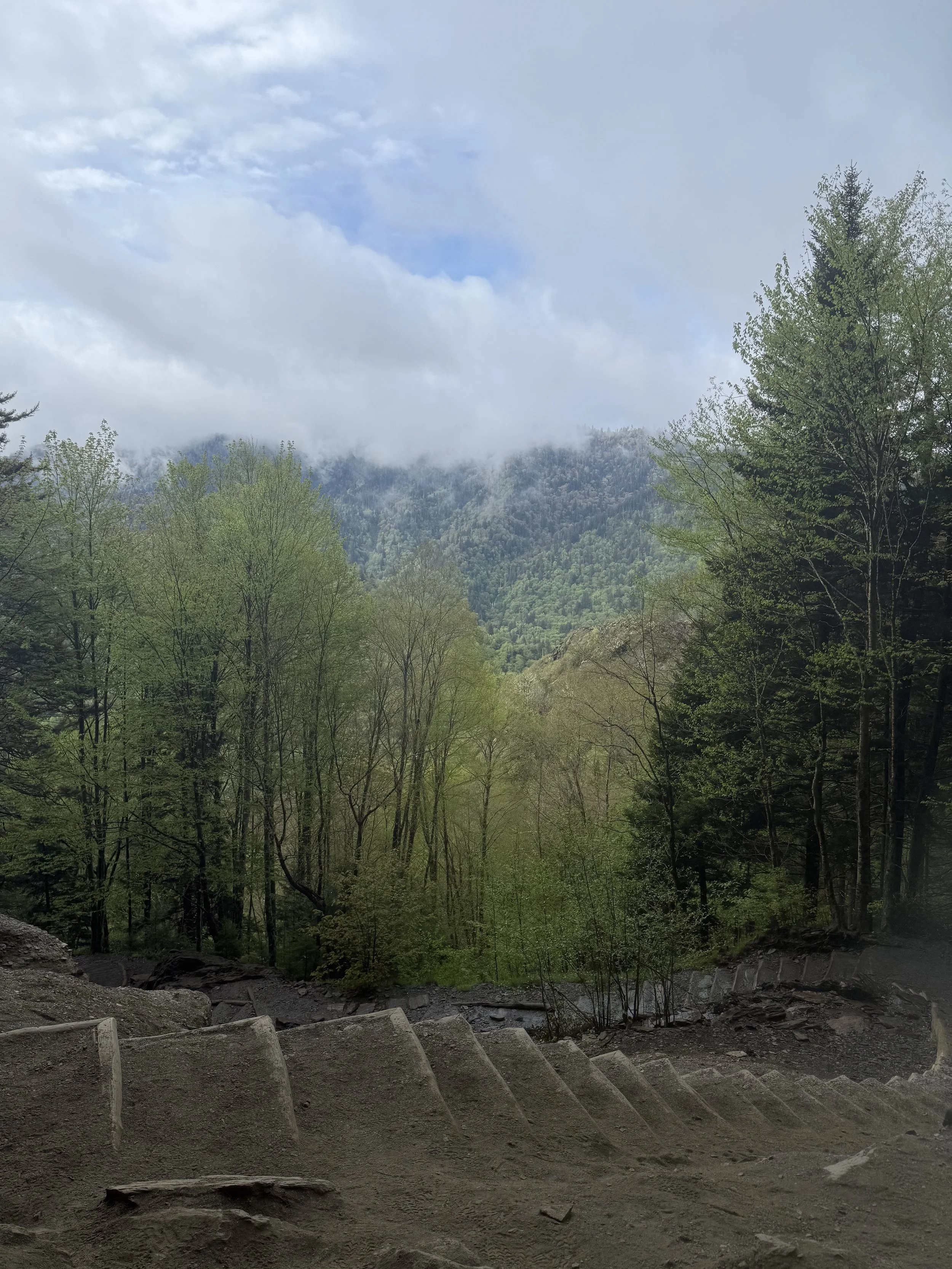 IMG_5001.jpeg