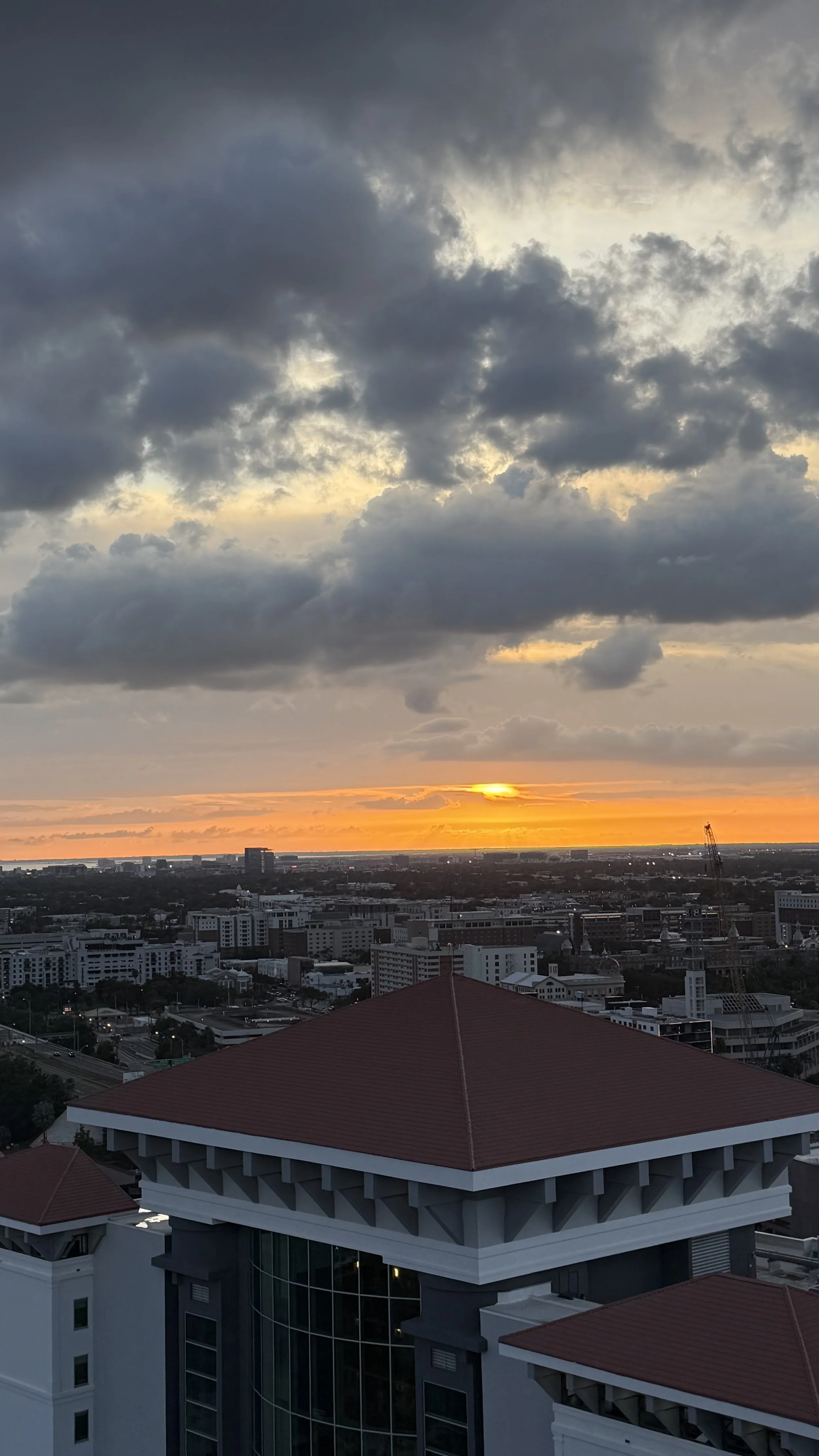IMG_9935.jpeg
