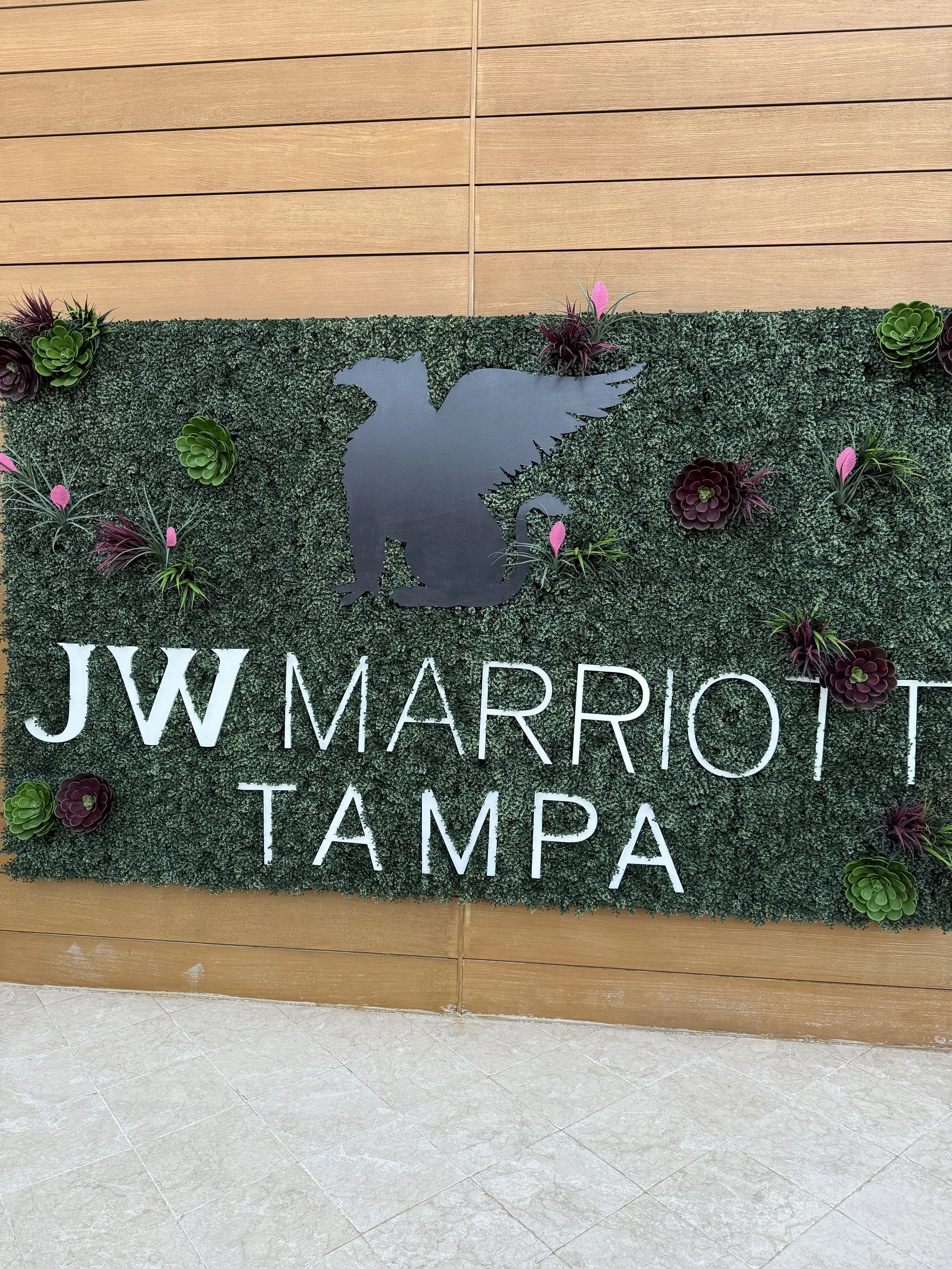 IMG_9919.jpeg
