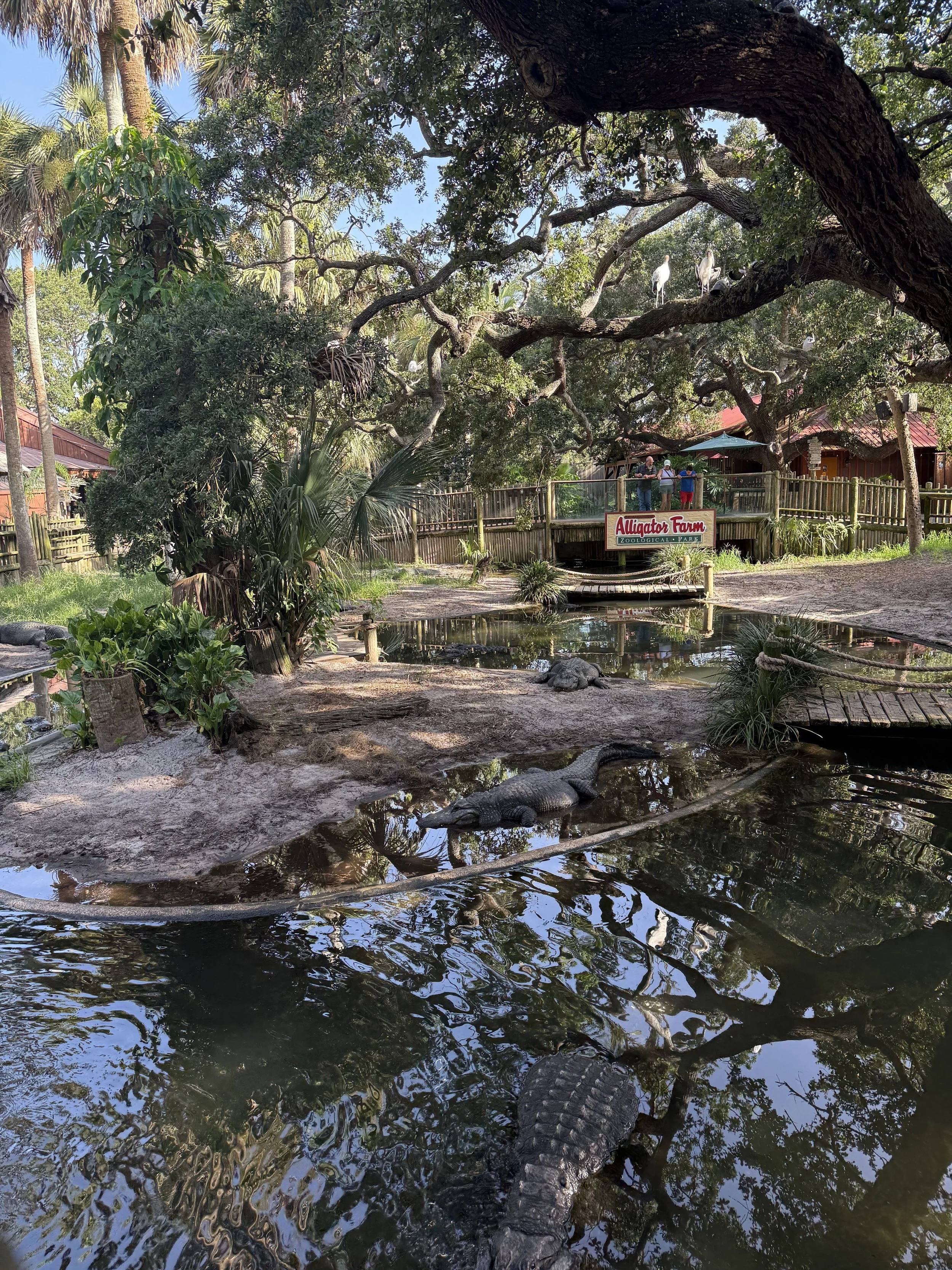 IMG_0976.jpeg