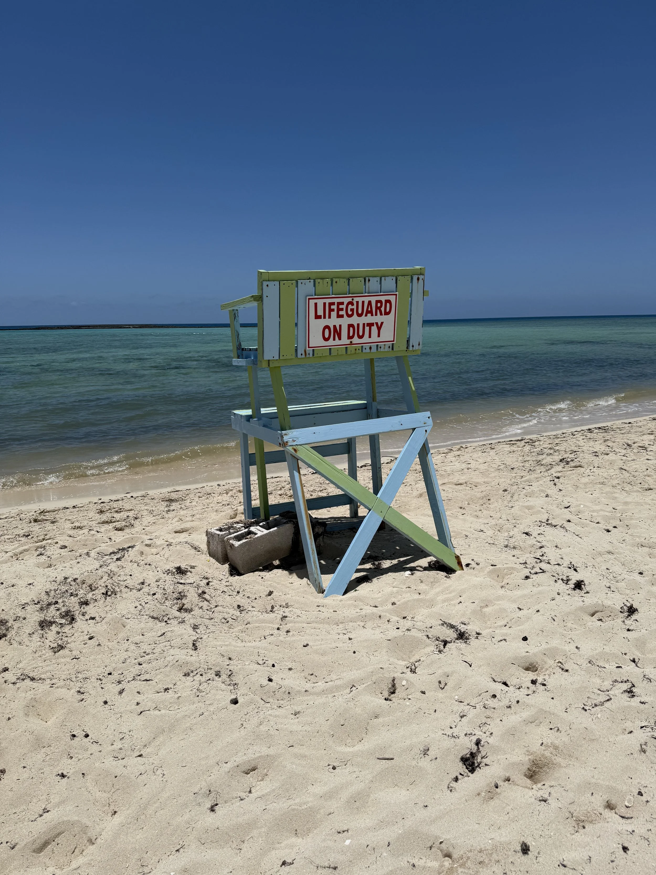 IMG_0307.jpeg