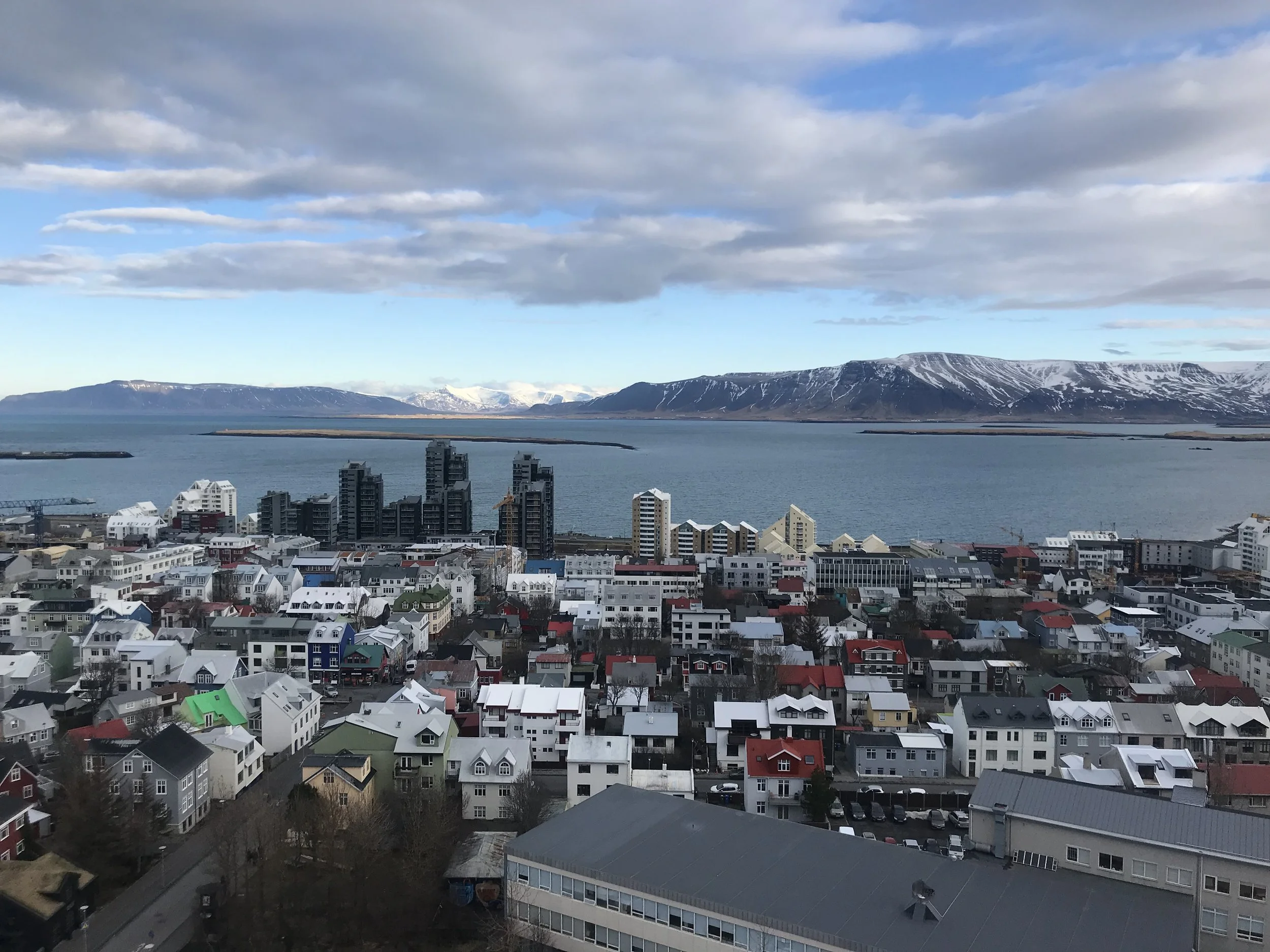 IMG_9140.jpeg