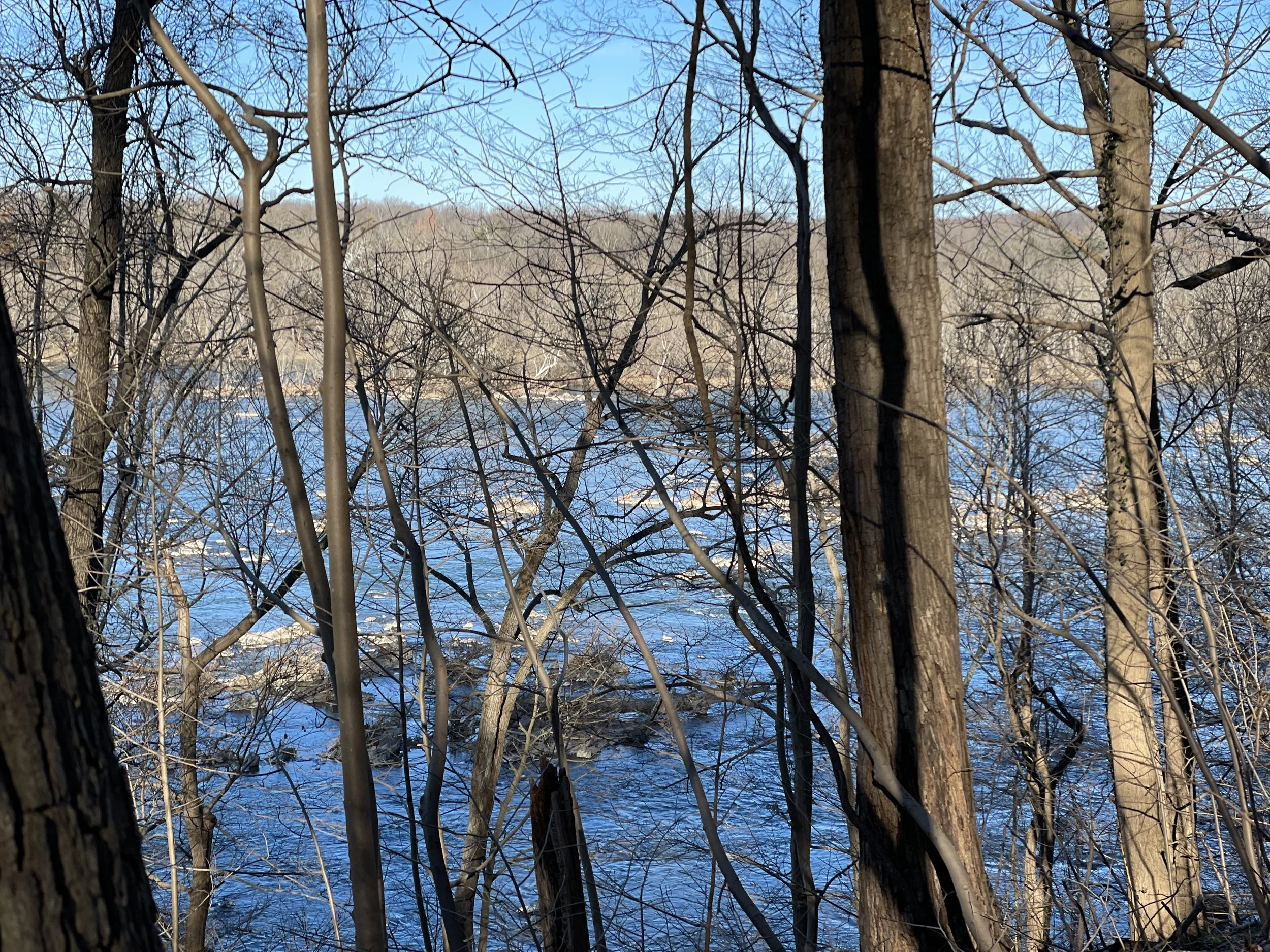 IMG_0549.jpeg