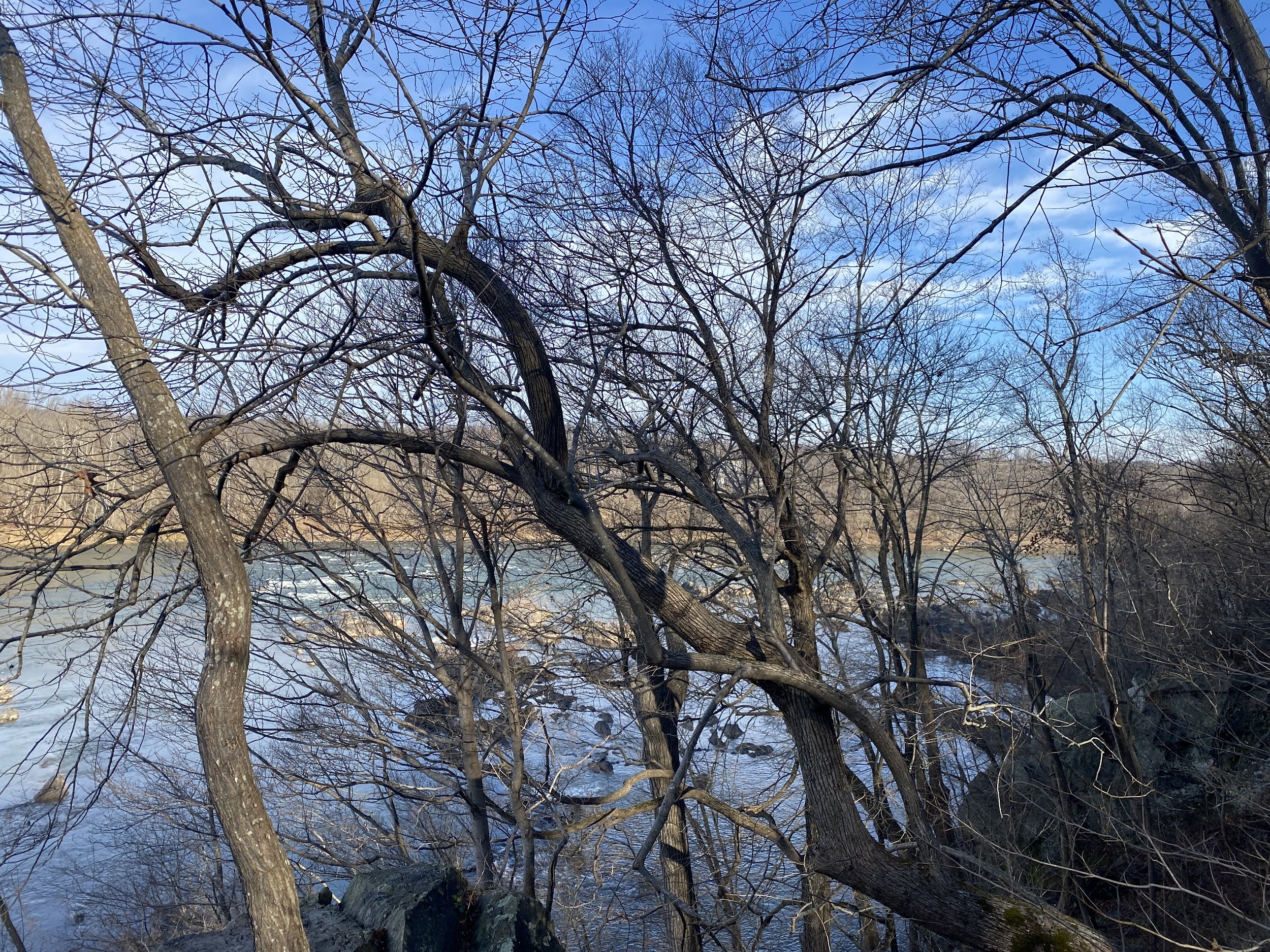 IMG_4784.jpeg