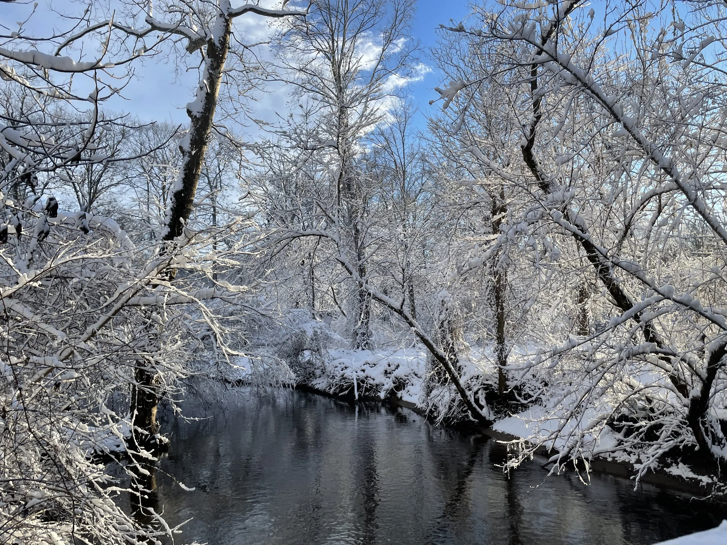 IMG_5040.jpeg