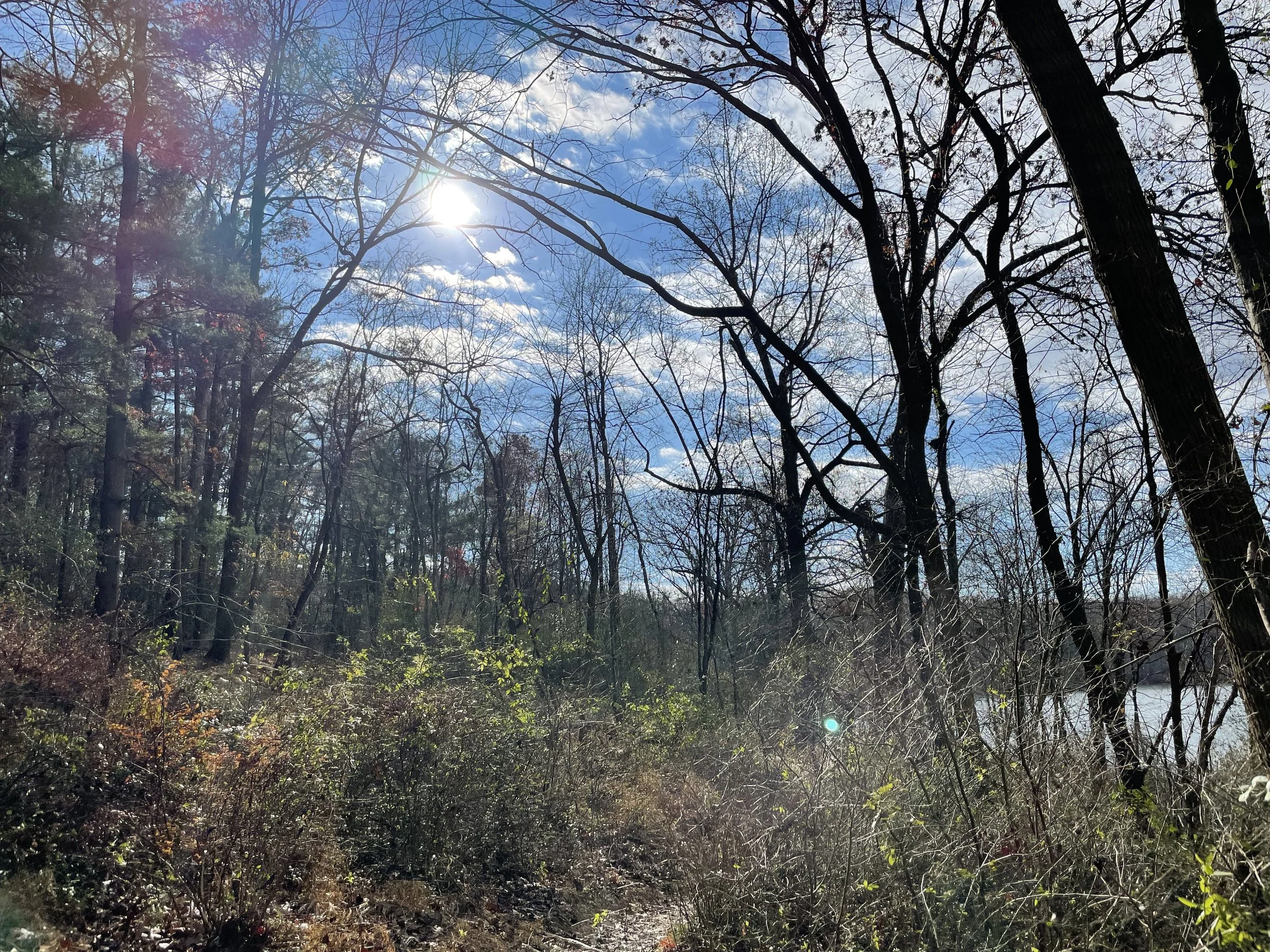 IMG_4178.jpeg