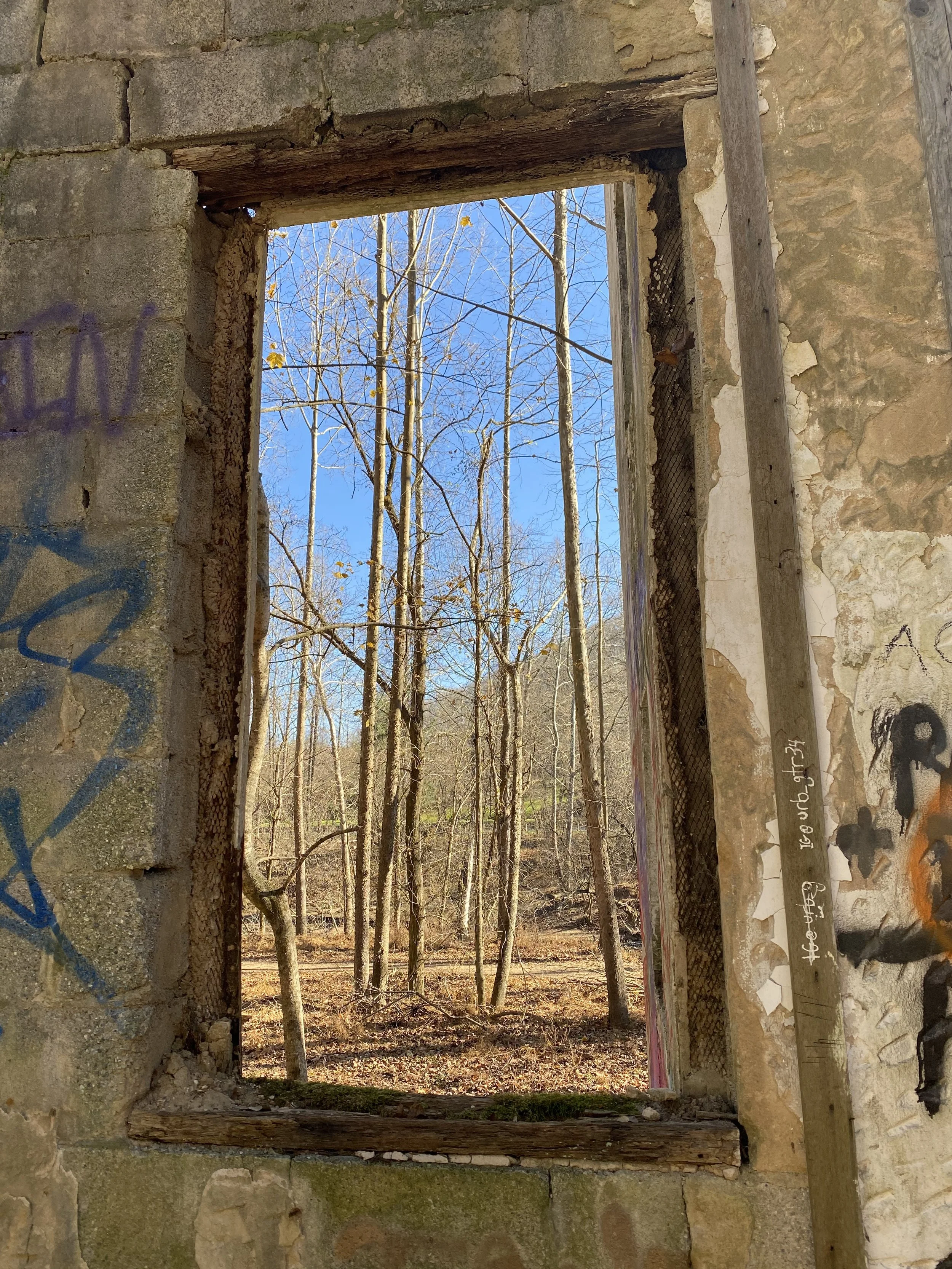 IMG_4328.jpeg