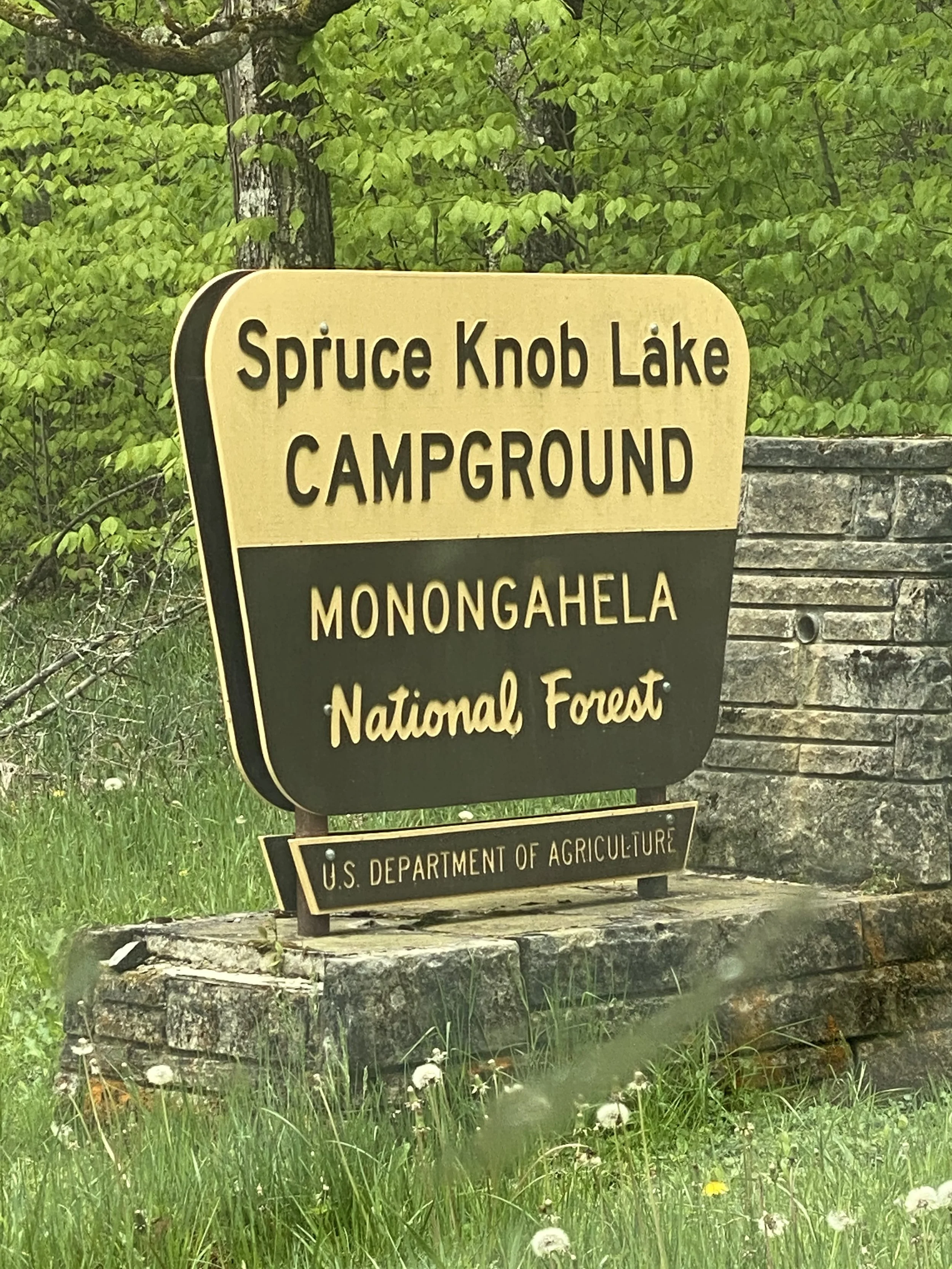 IMG_3433.jpeg