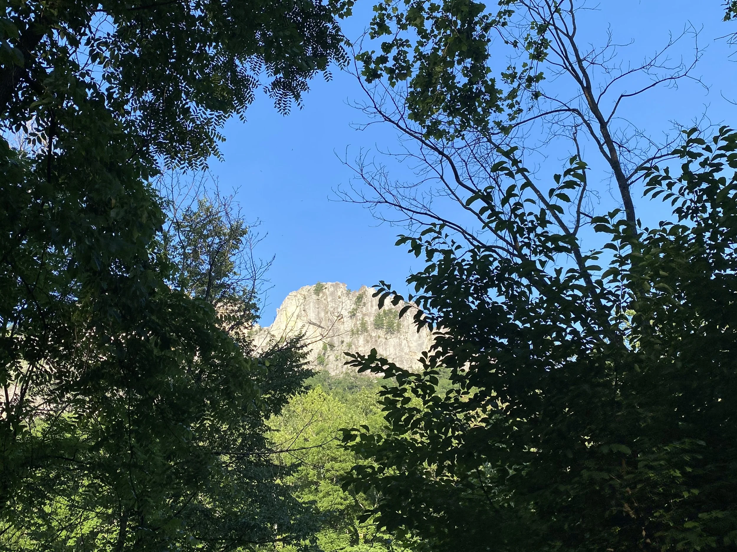 IMG_4510.jpeg