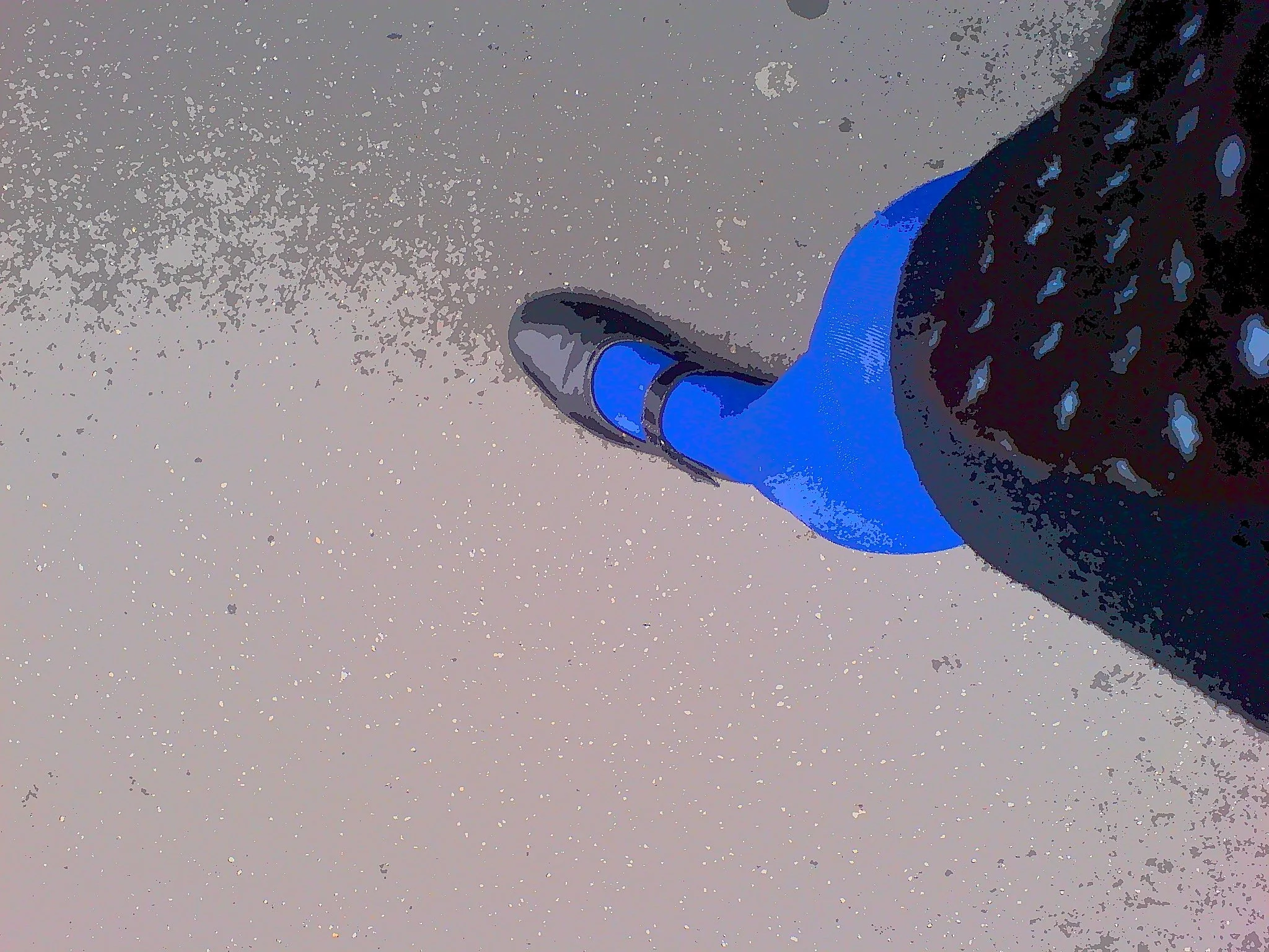  On my Way  © Lea Lee 