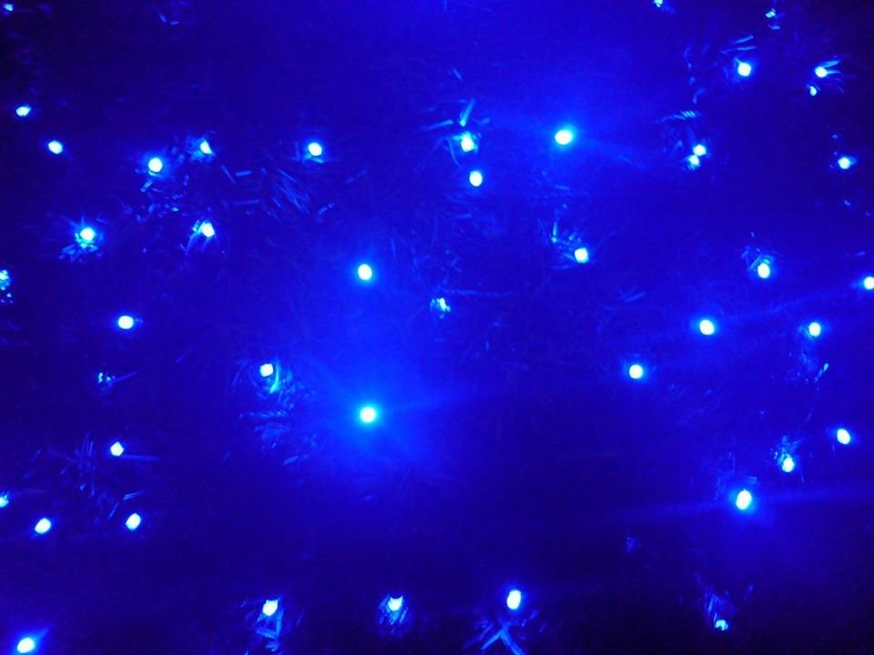 Blue Light Dream © Lea Lee 
